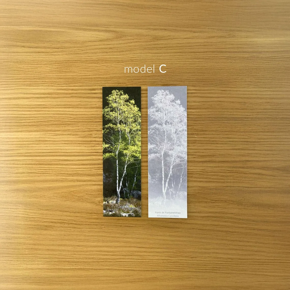 bookmark_C_02_info.jpg