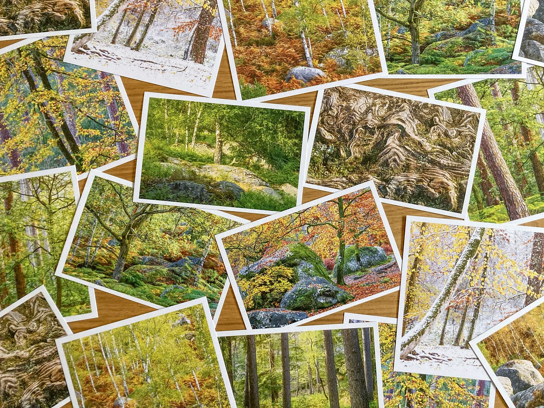 Cartes