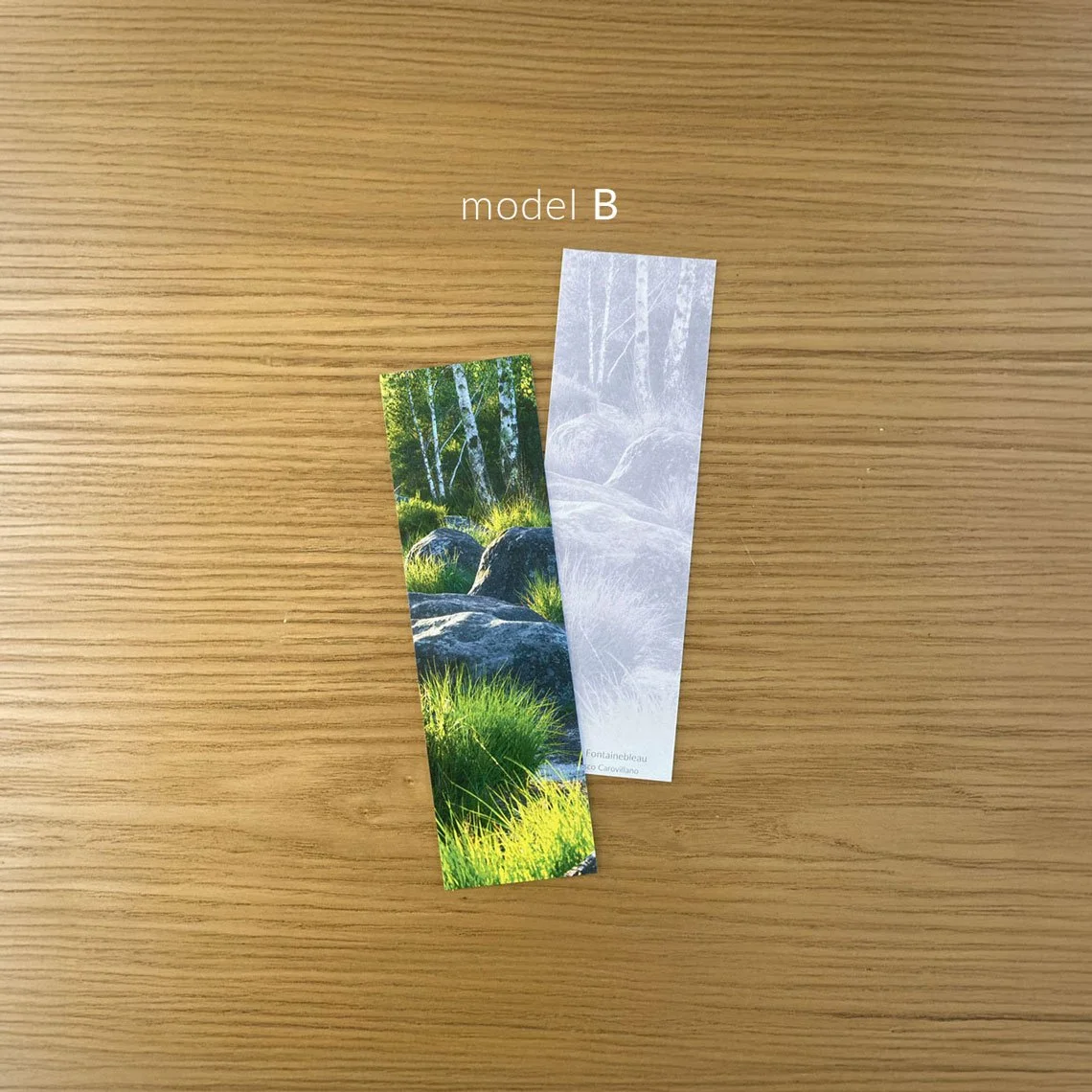 bookmark_B_01_info.jpg