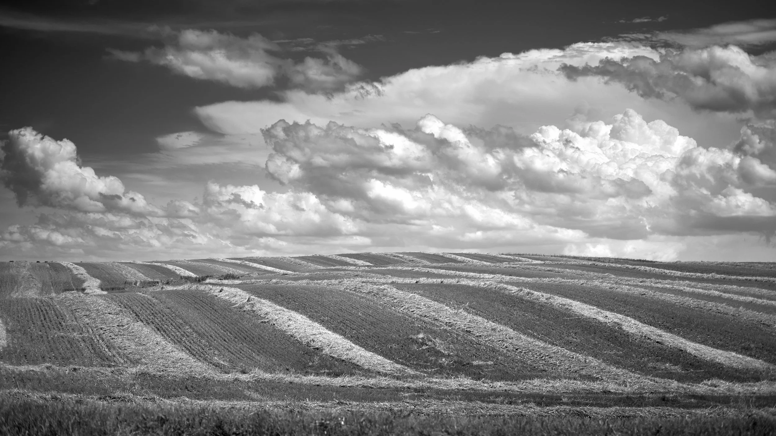 DSCF0035 1.jpg