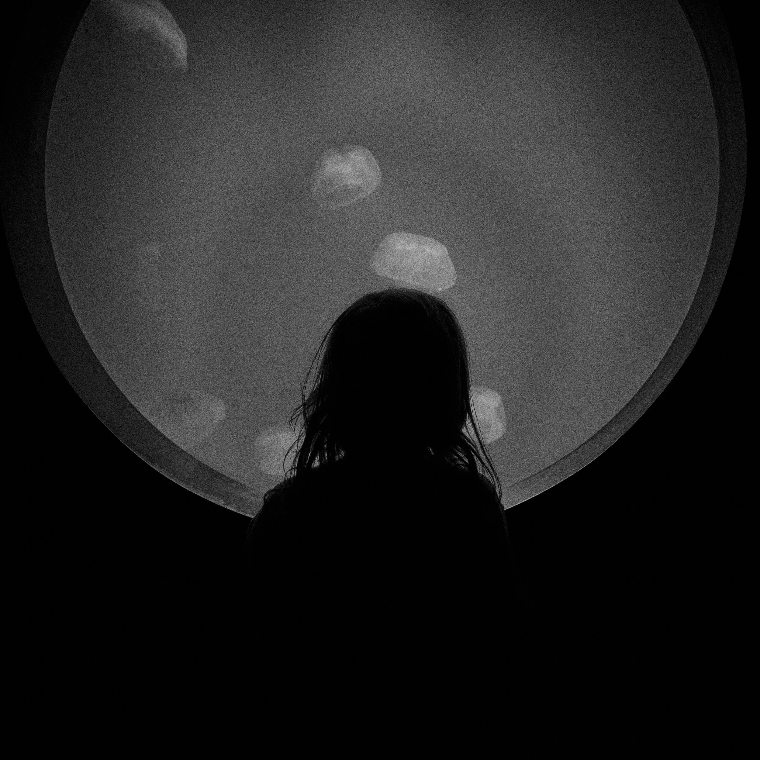 DSCF0425.jpg
