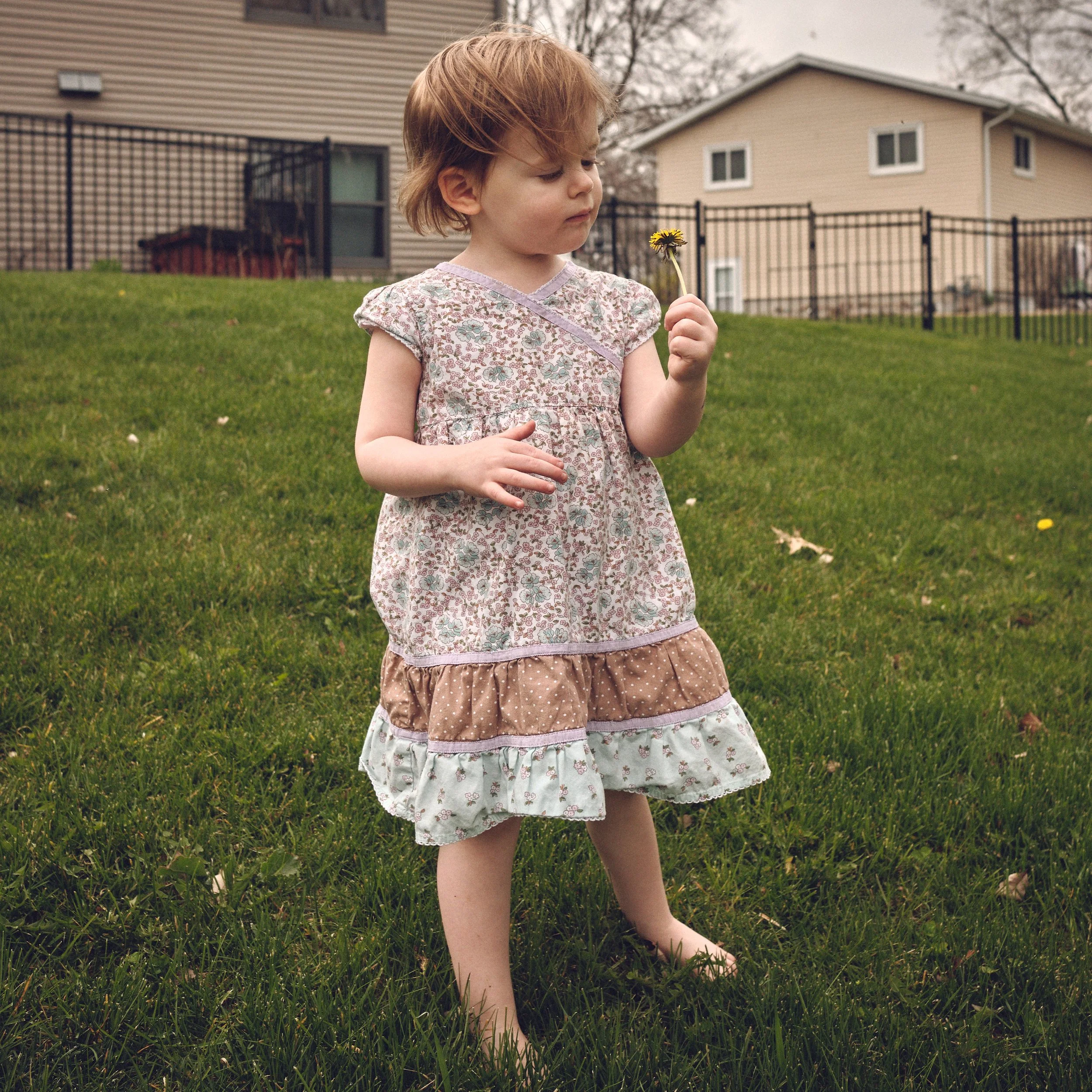 DSCF2510.jpg