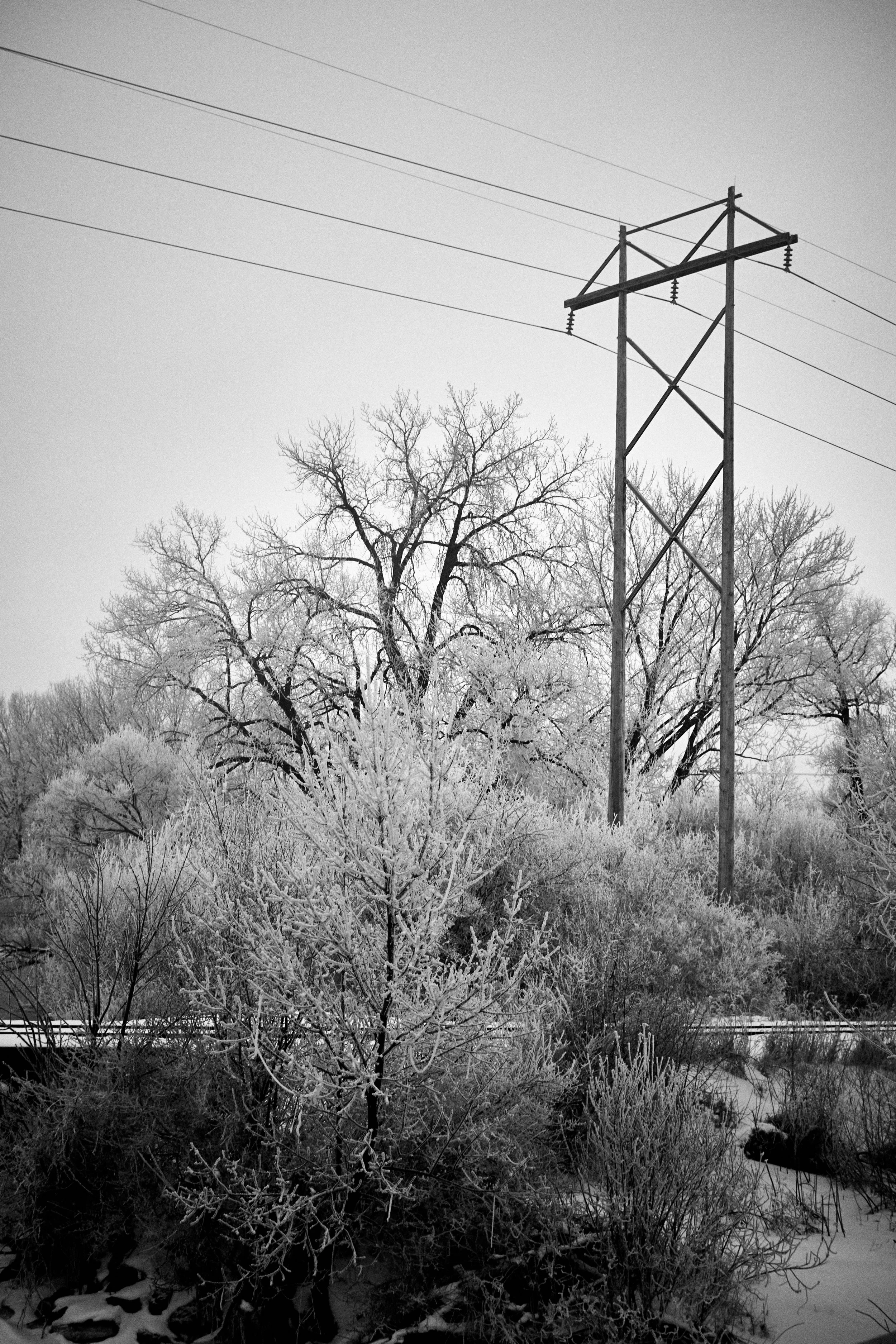 DSC_0148 1.jpg