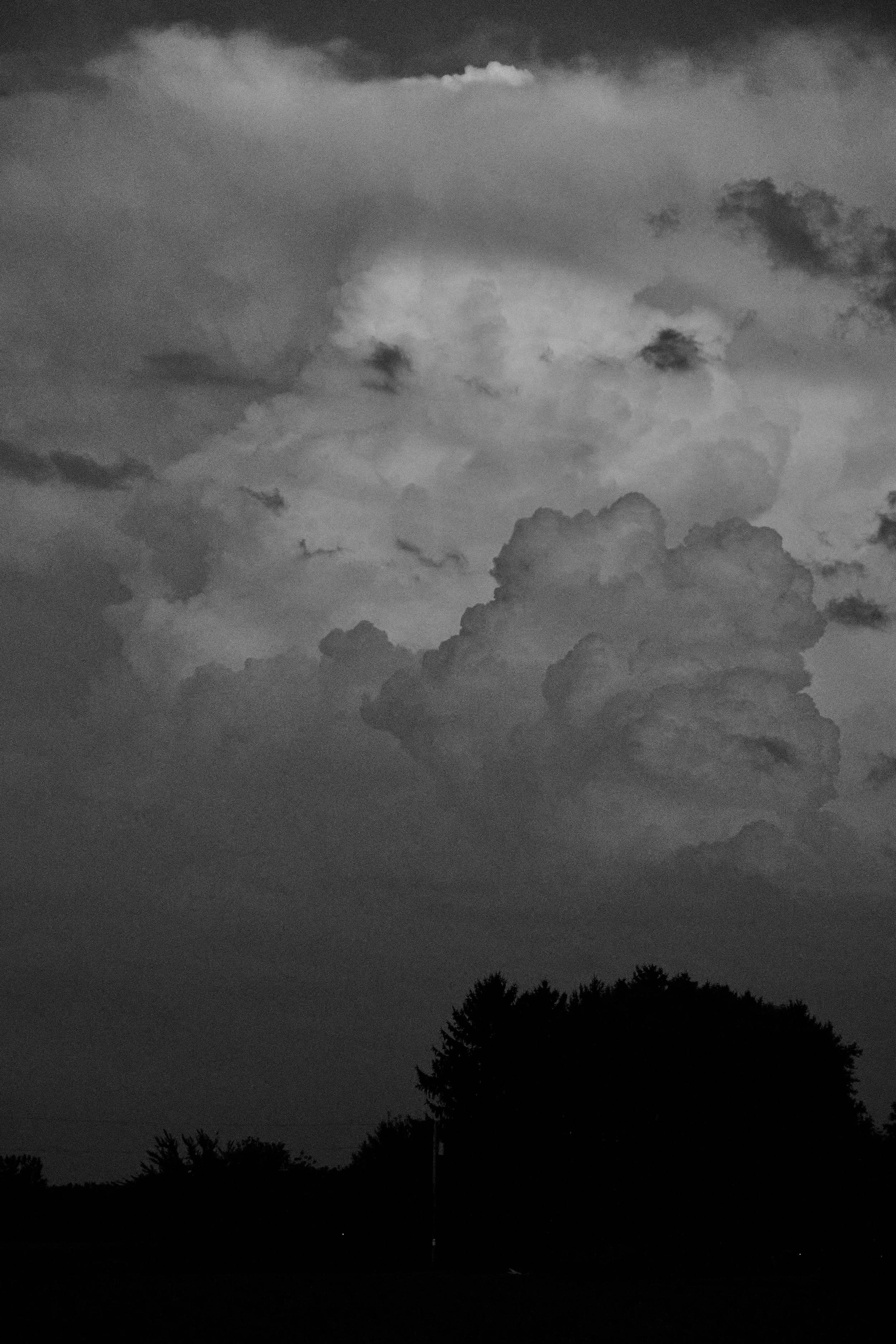 DSCF0876.jpg