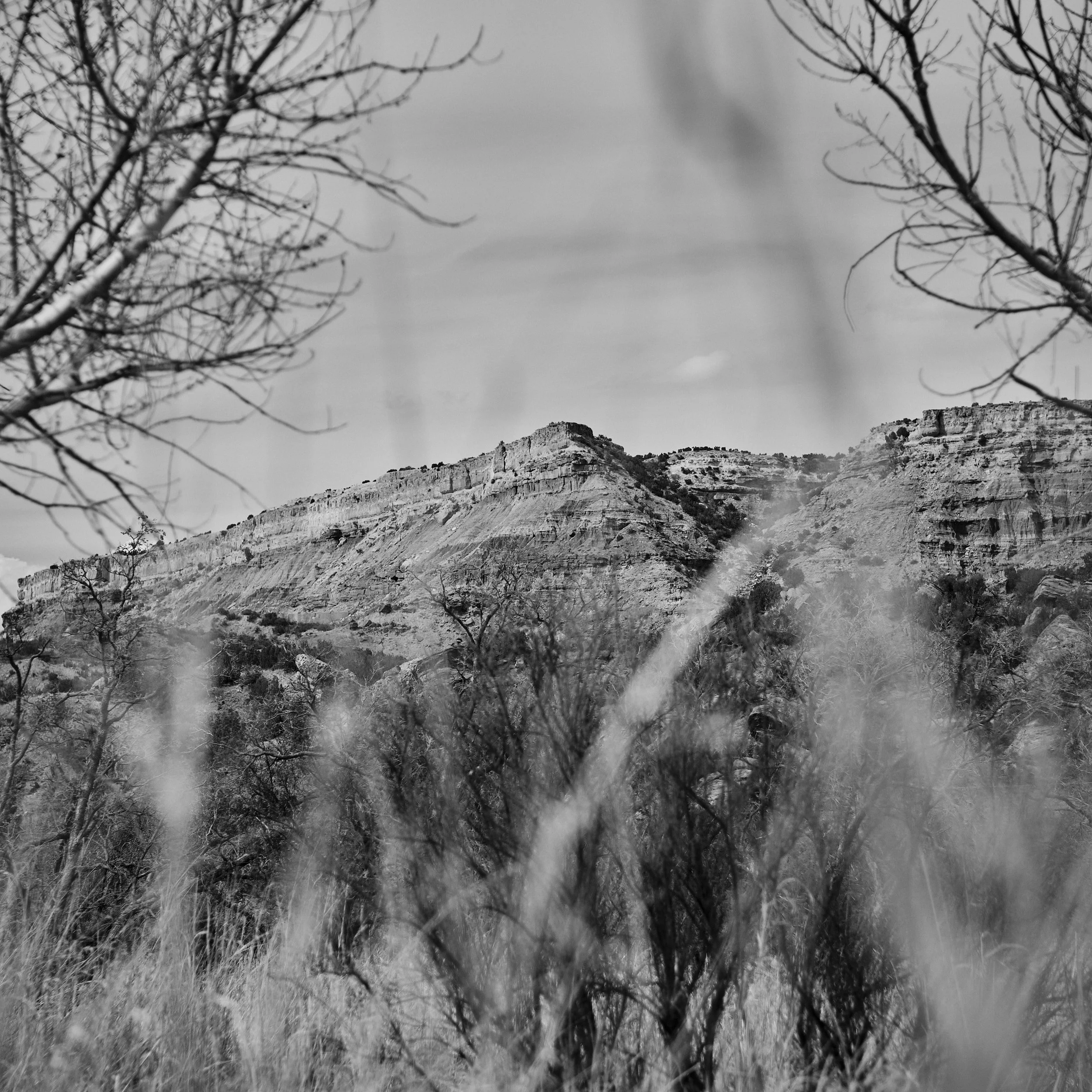 DSCF0272.jpg