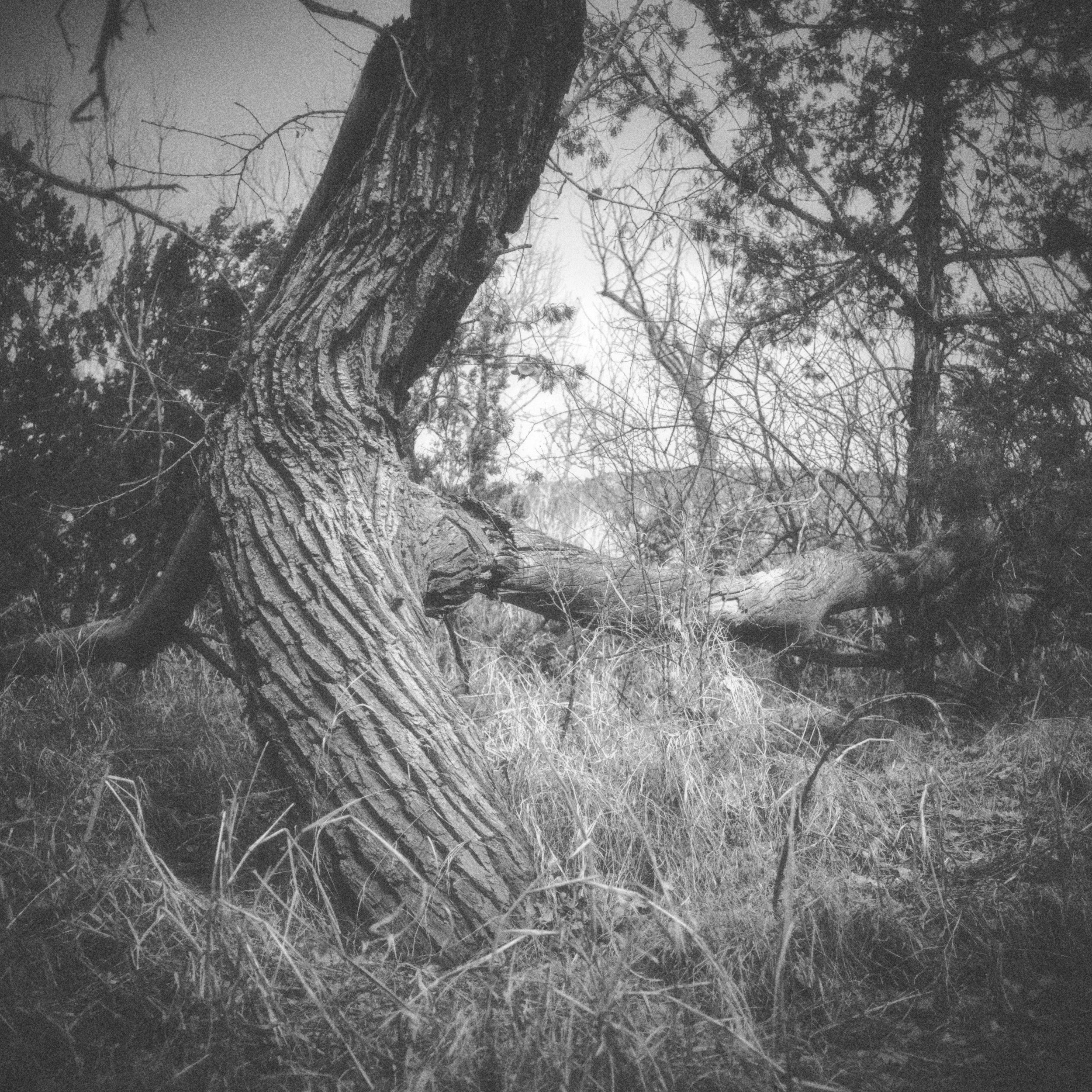 DSCF0690.jpg