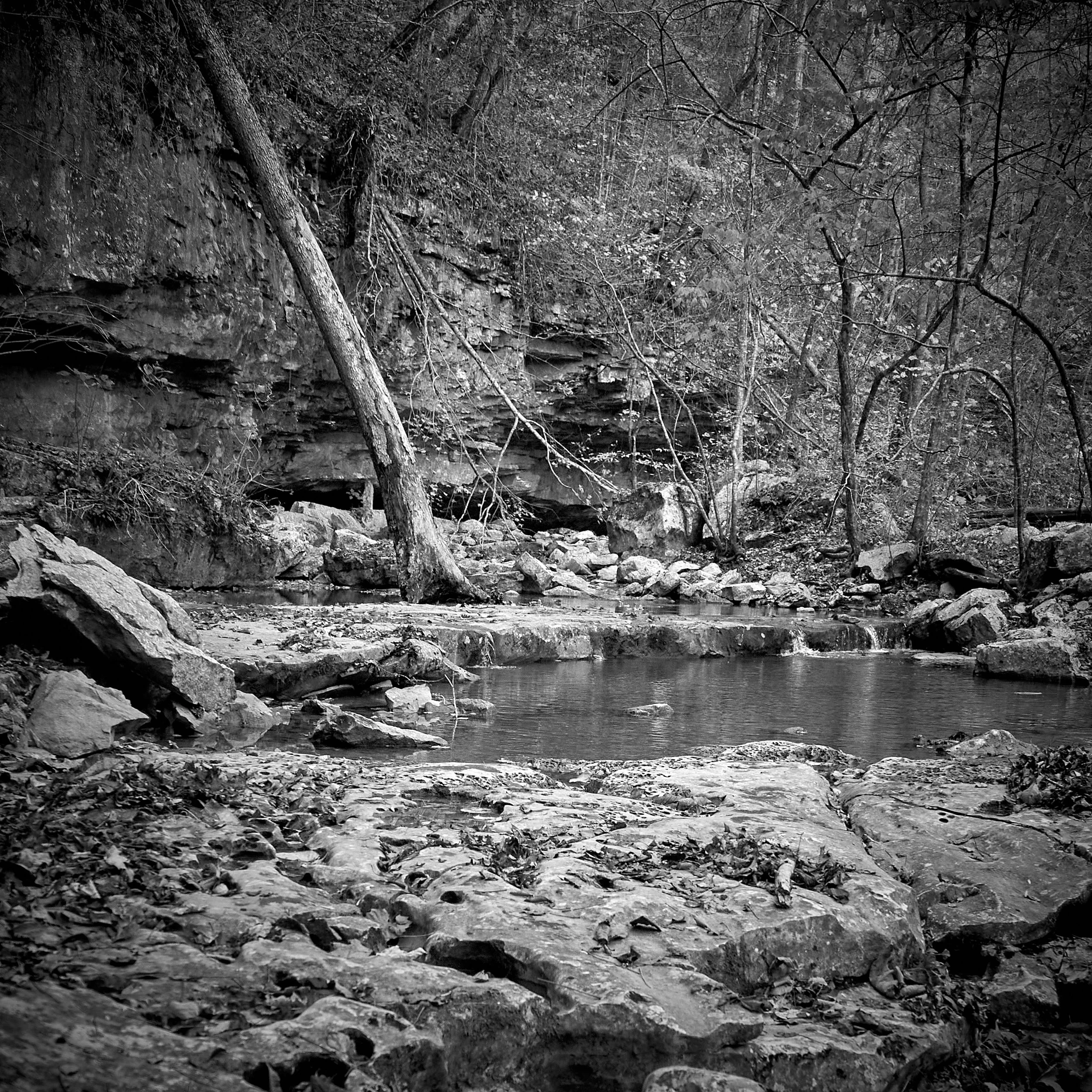 DSC_0199.jpg