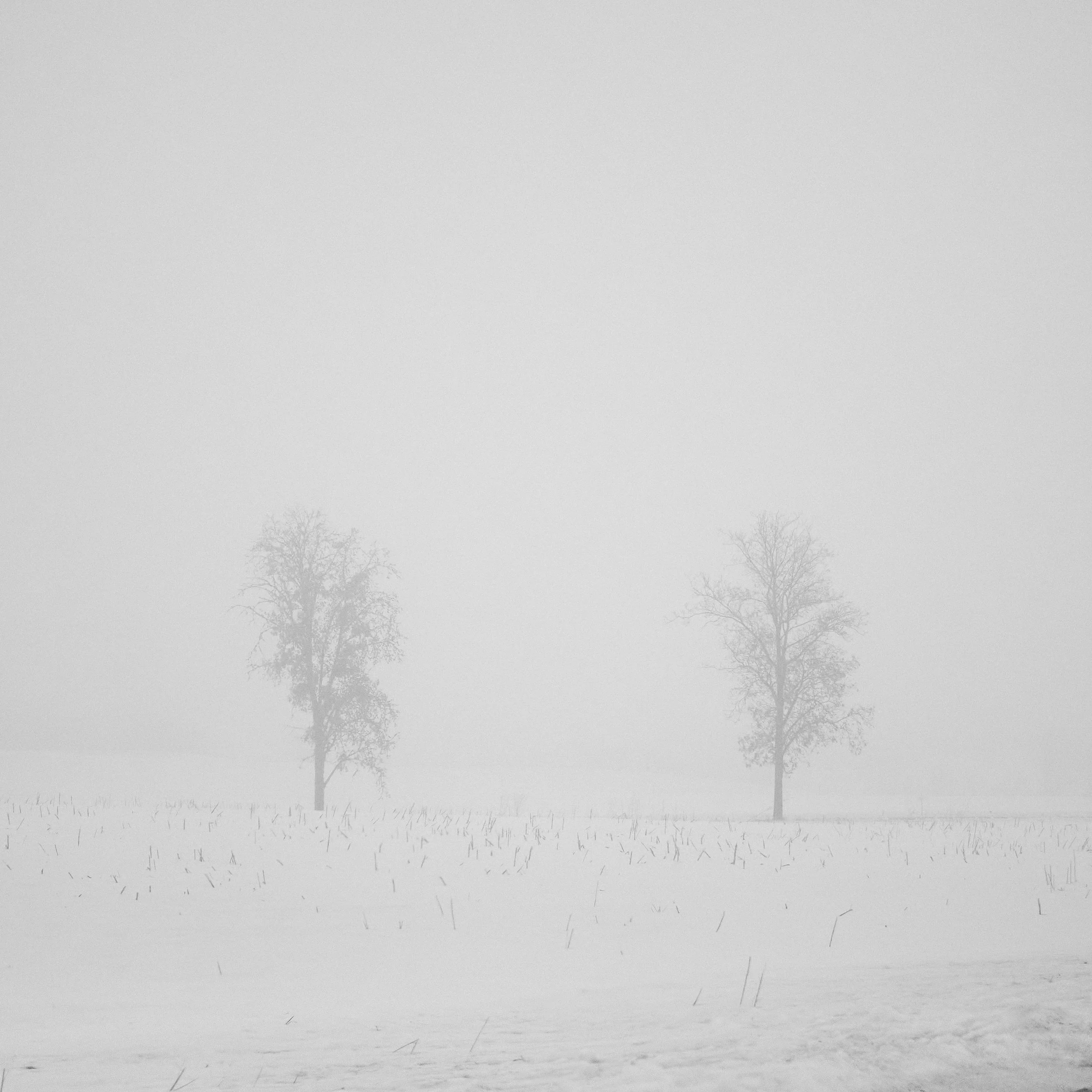 DSCF3775.jpg