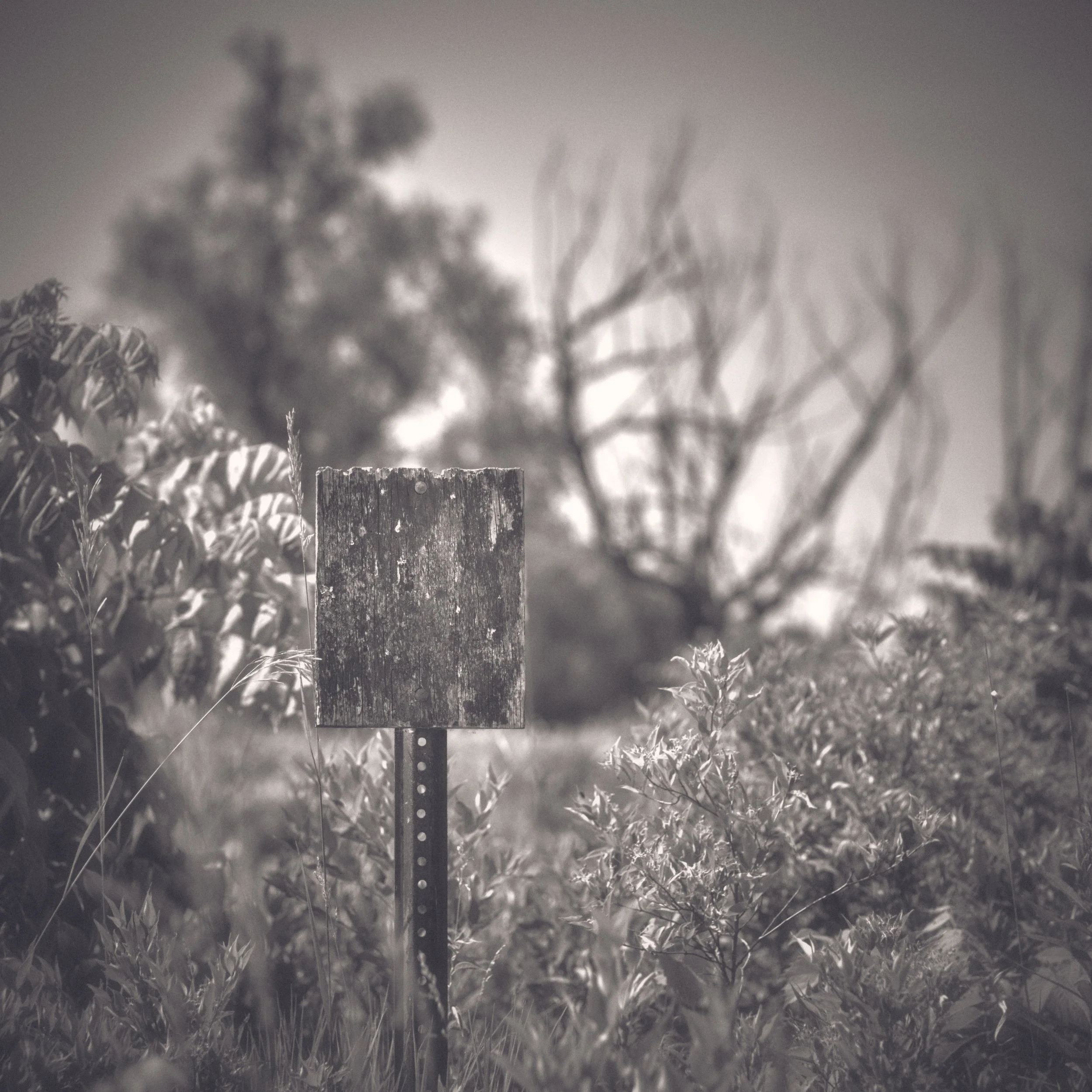 DSCF2127-1.jpg