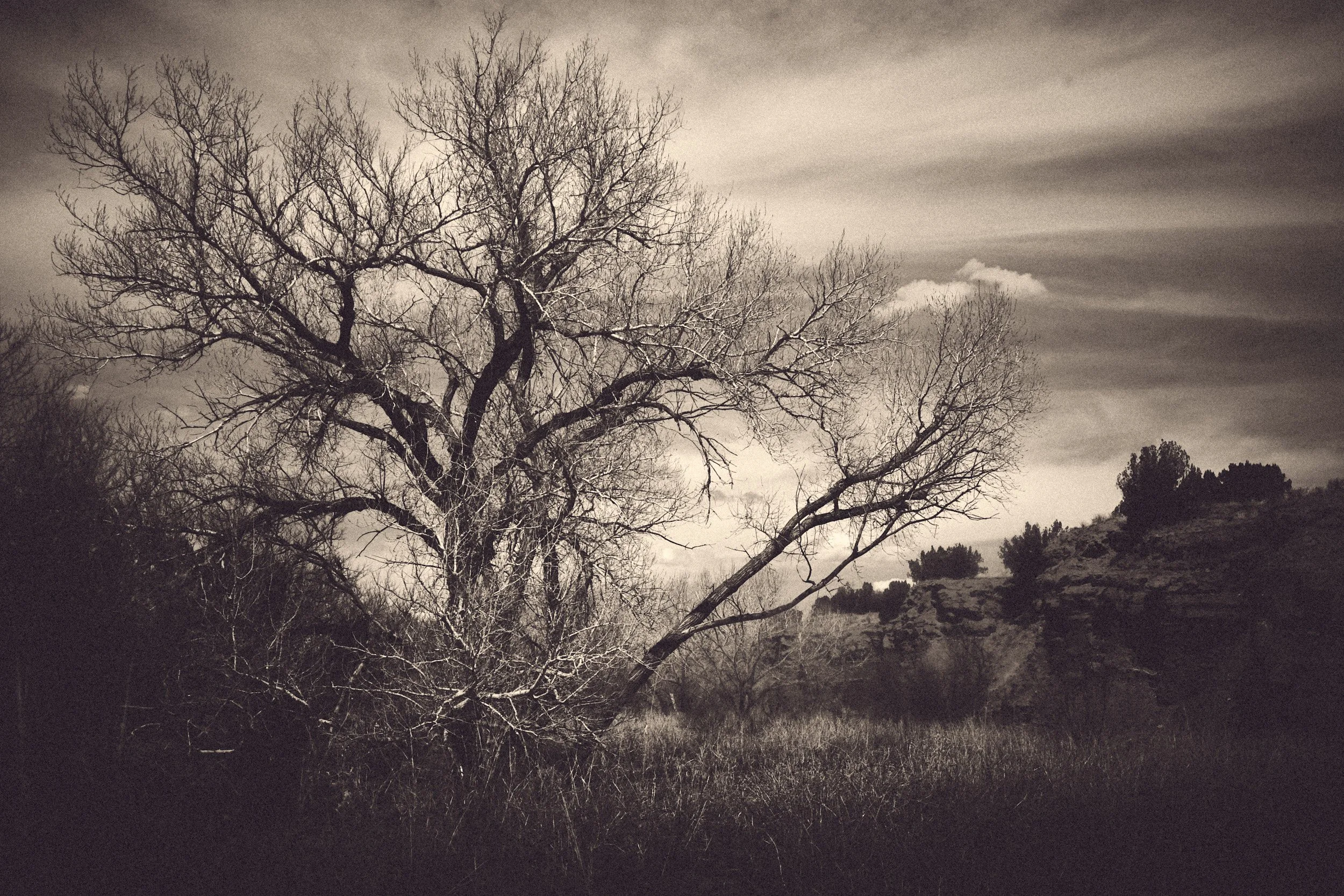 DSCF0632.jpg