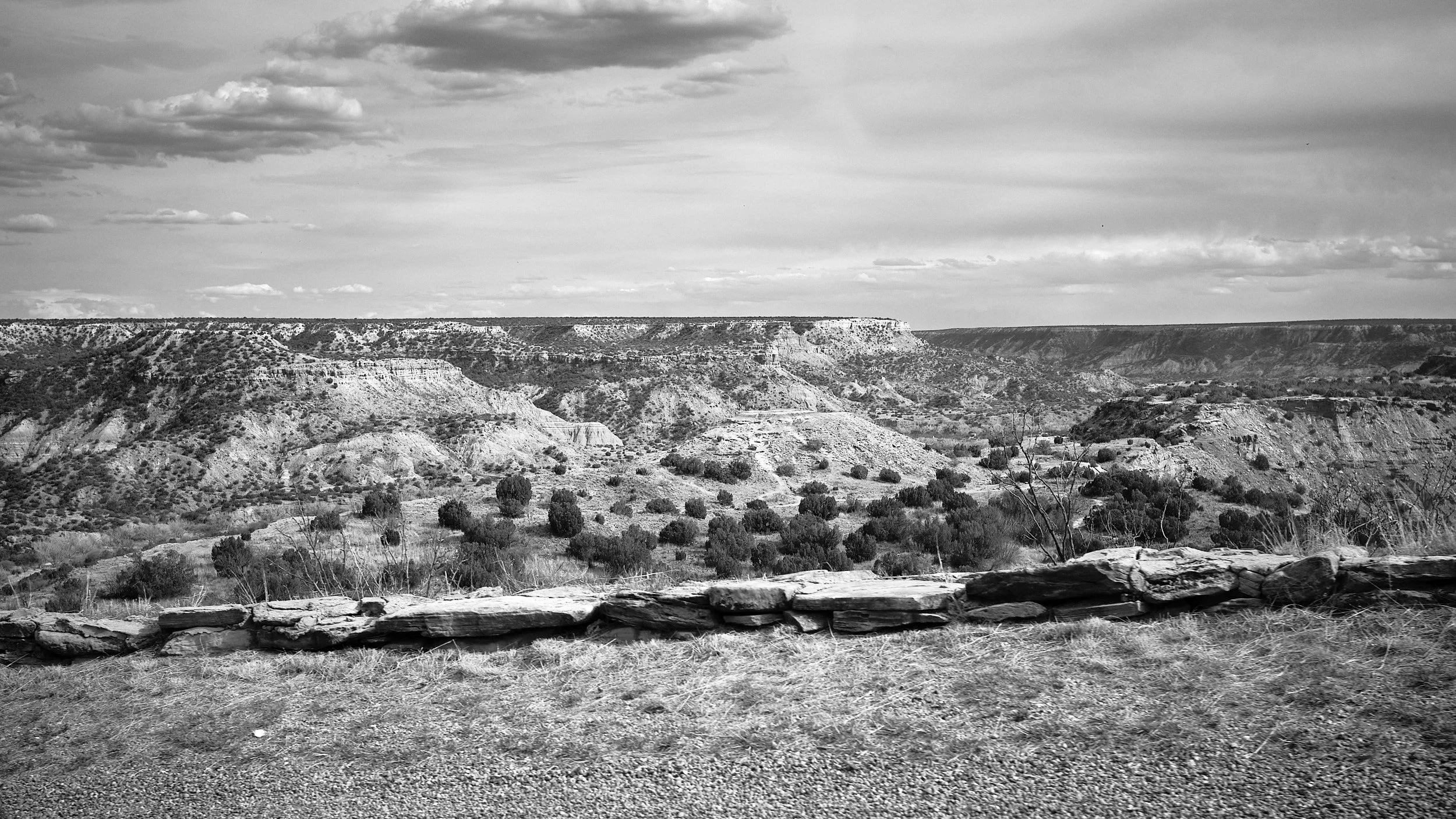 DSCF0722.jpg