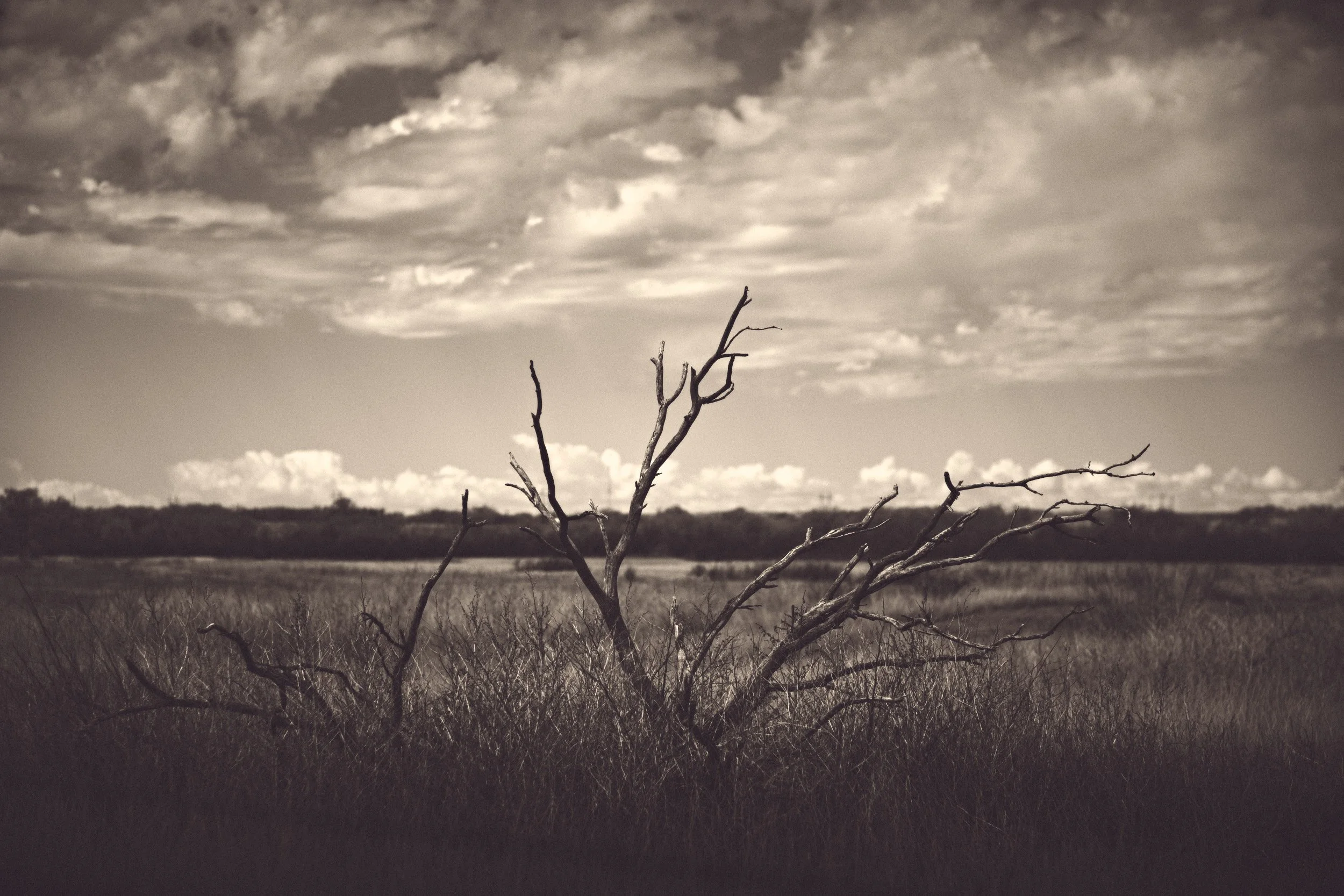 DSCF0335.jpg