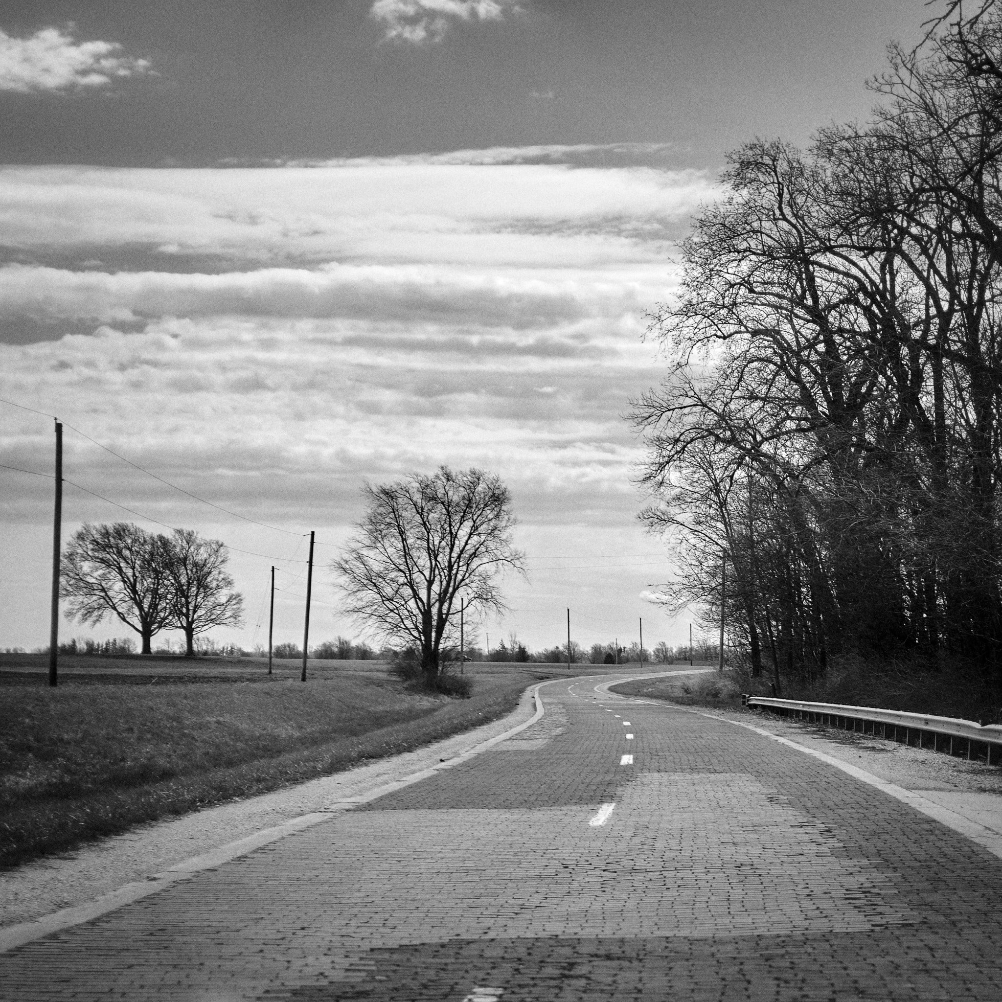 DSCF0134.jpg