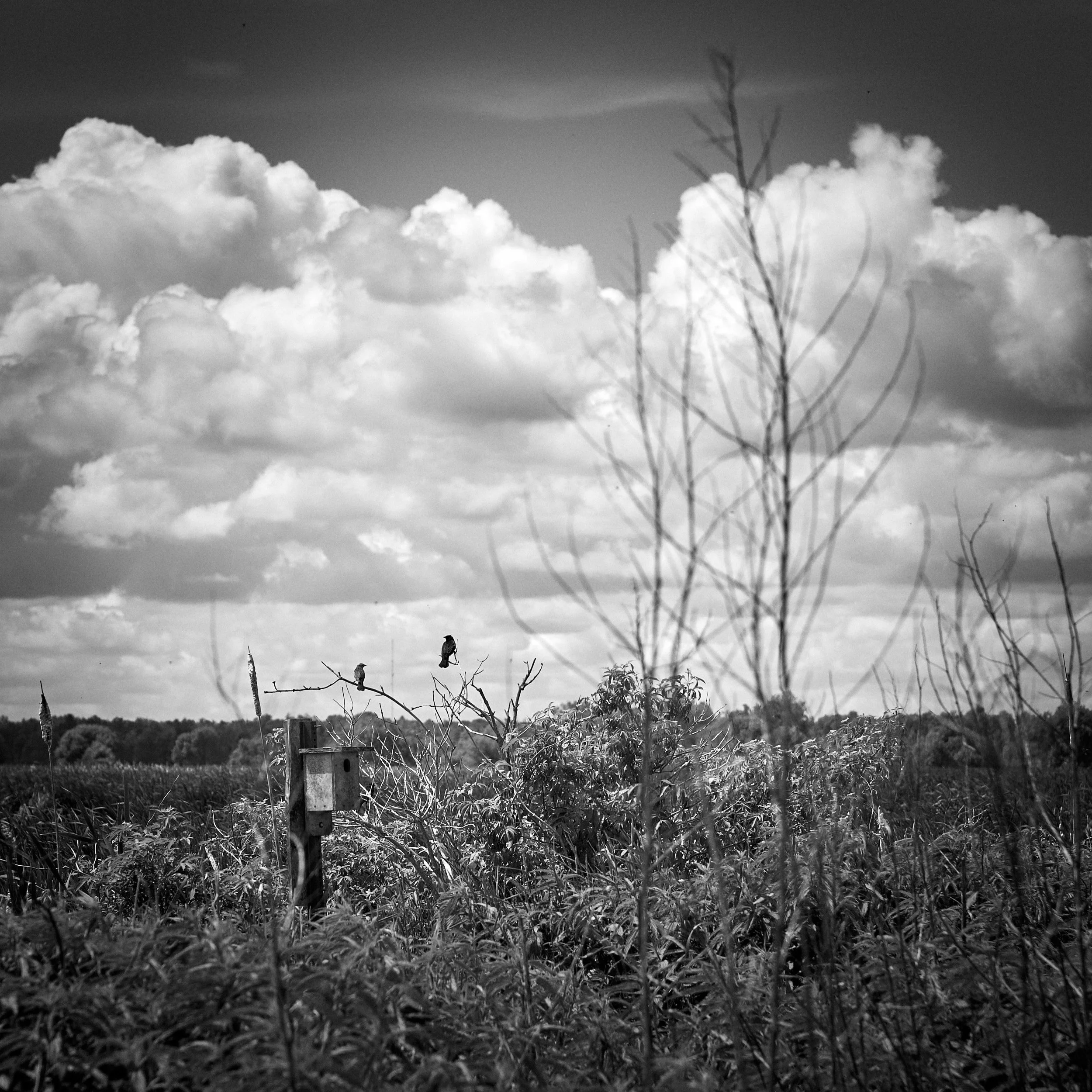 DSCF0397.jpg
