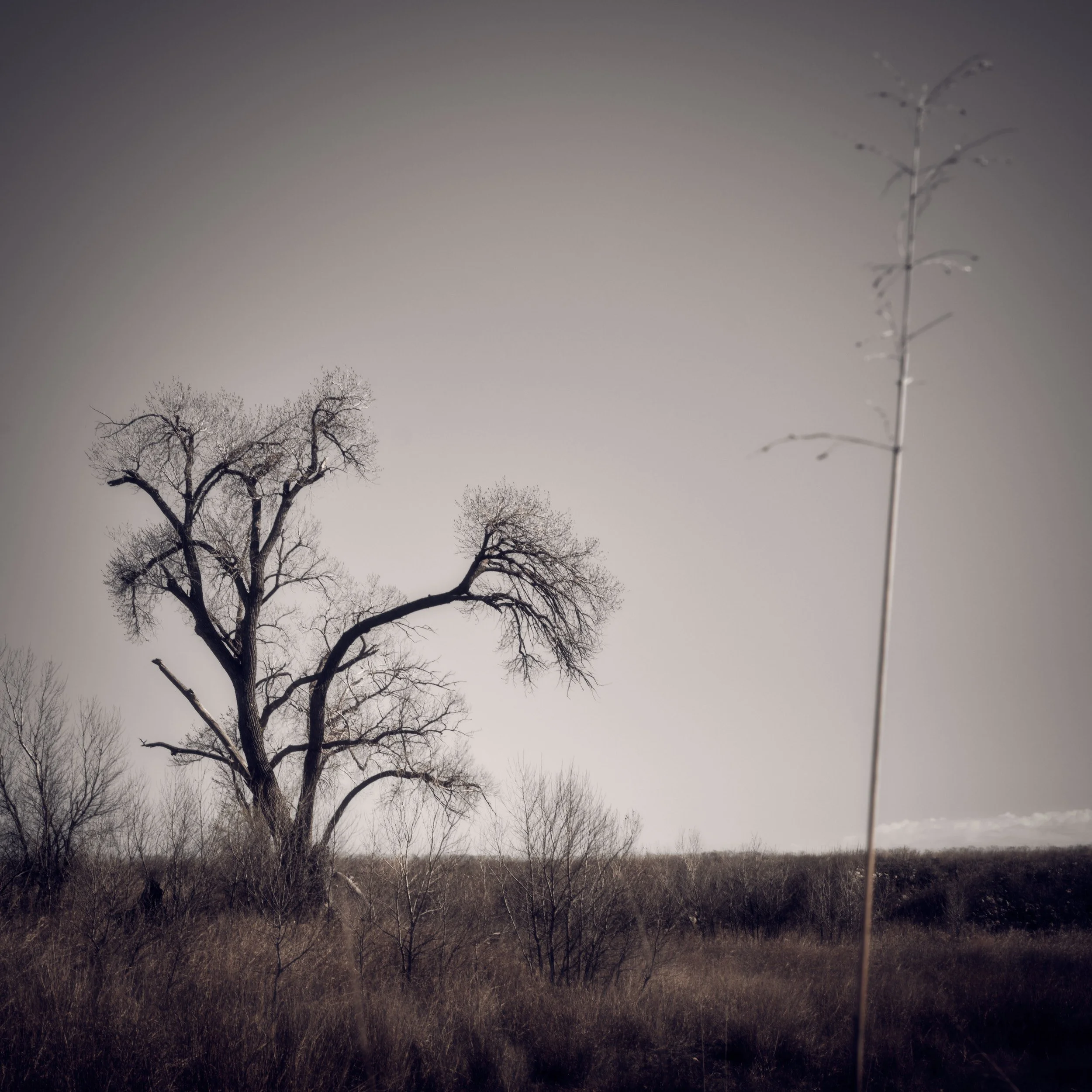 DSCF0203.jpg