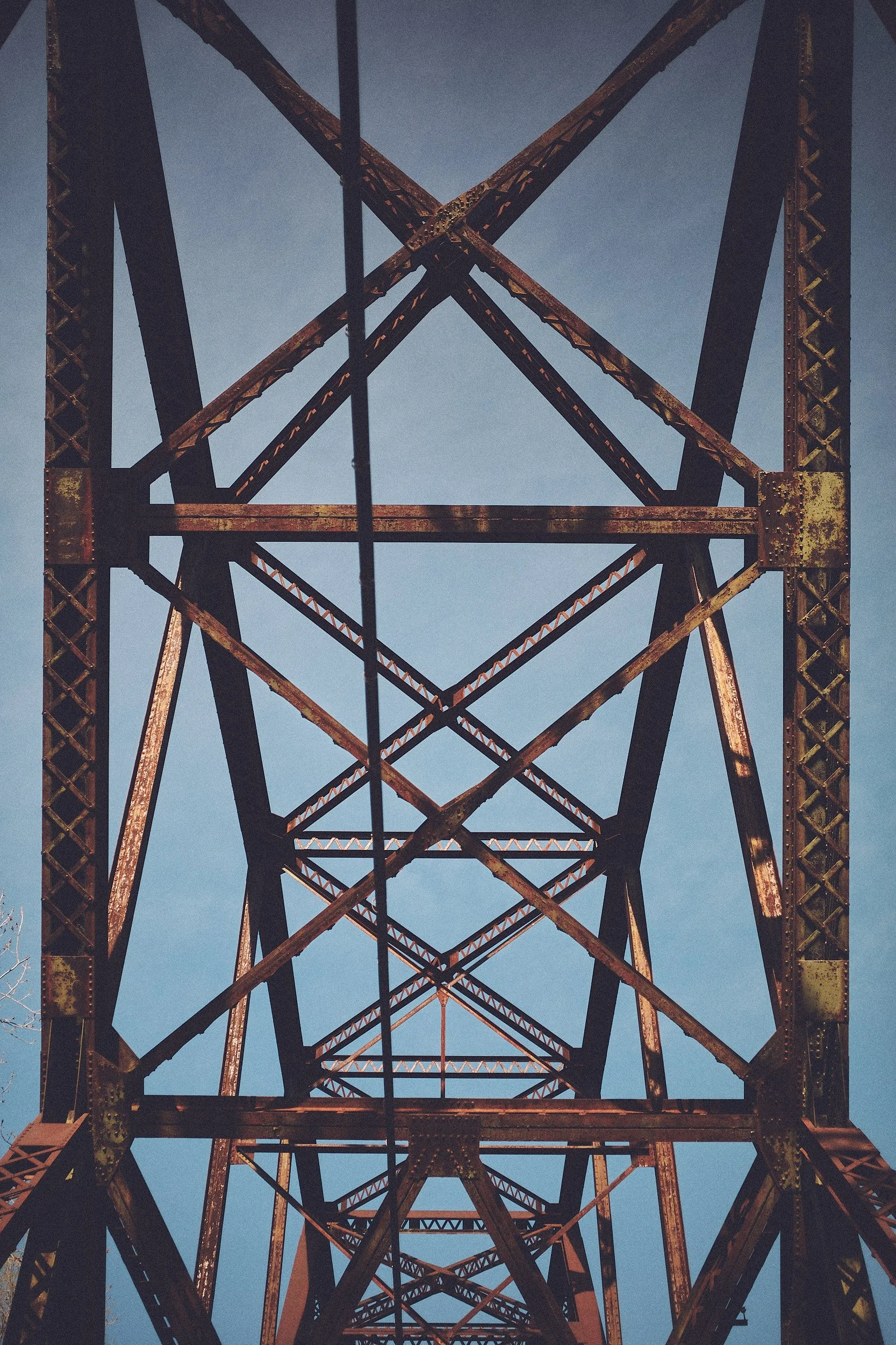 DSCF0247 1.jpg