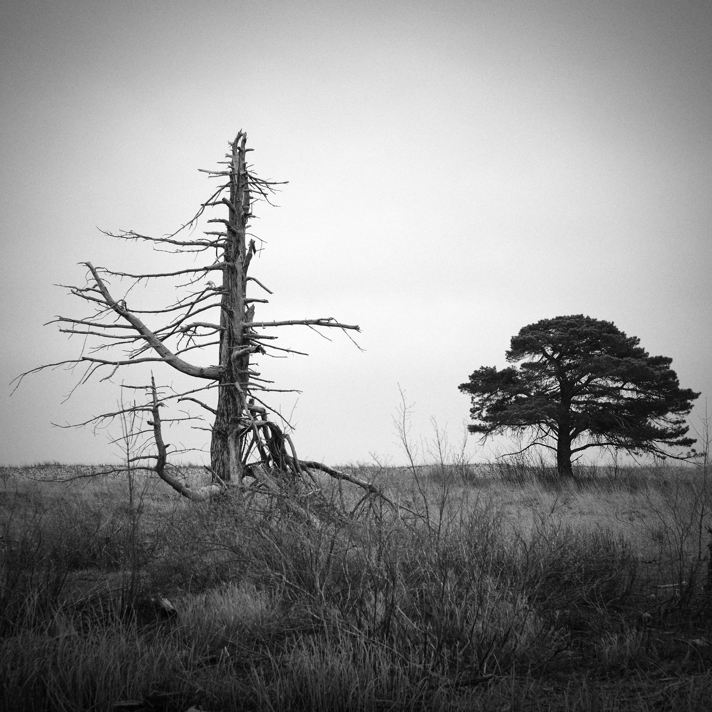 DSCF0266.jpg