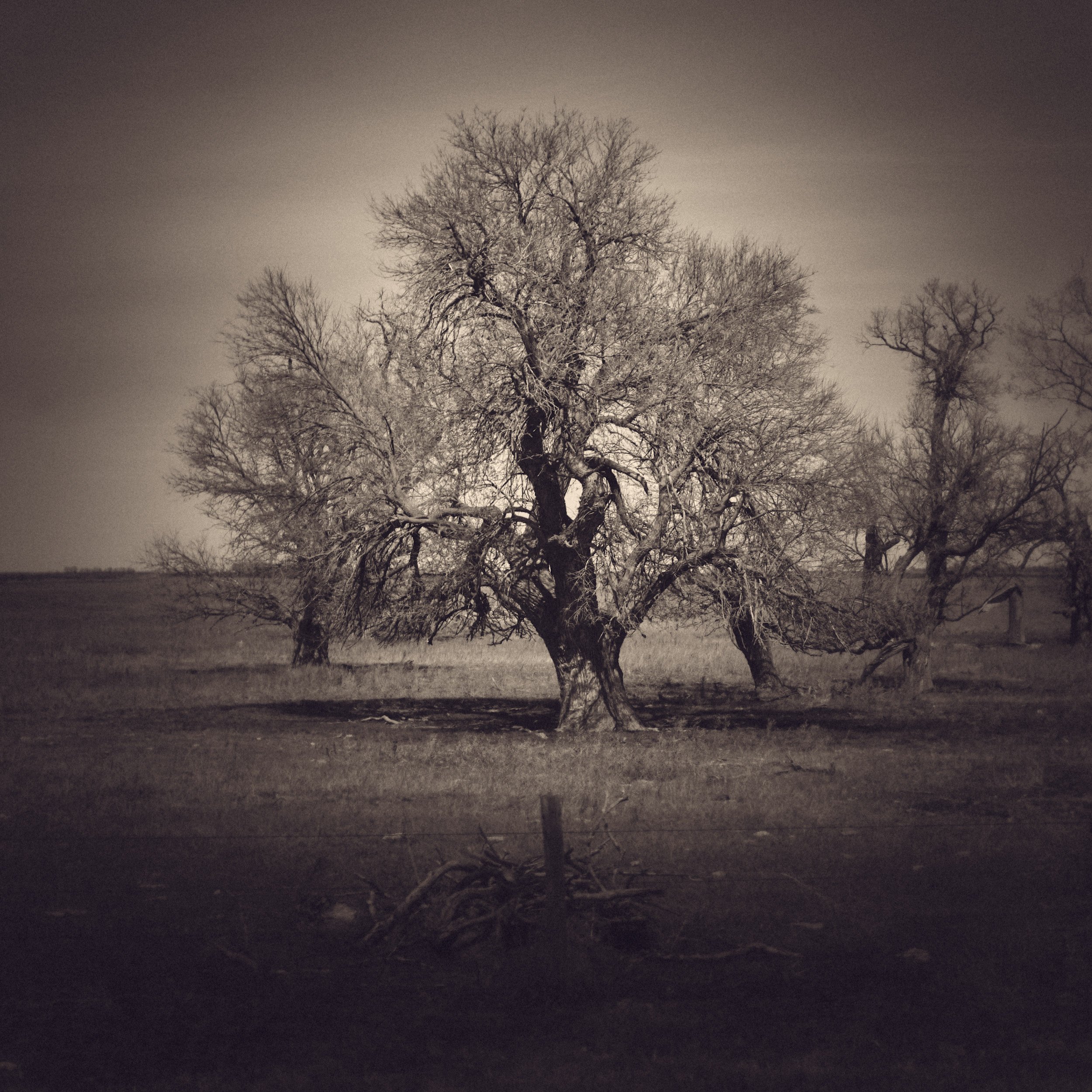 DSCF1647.jpg