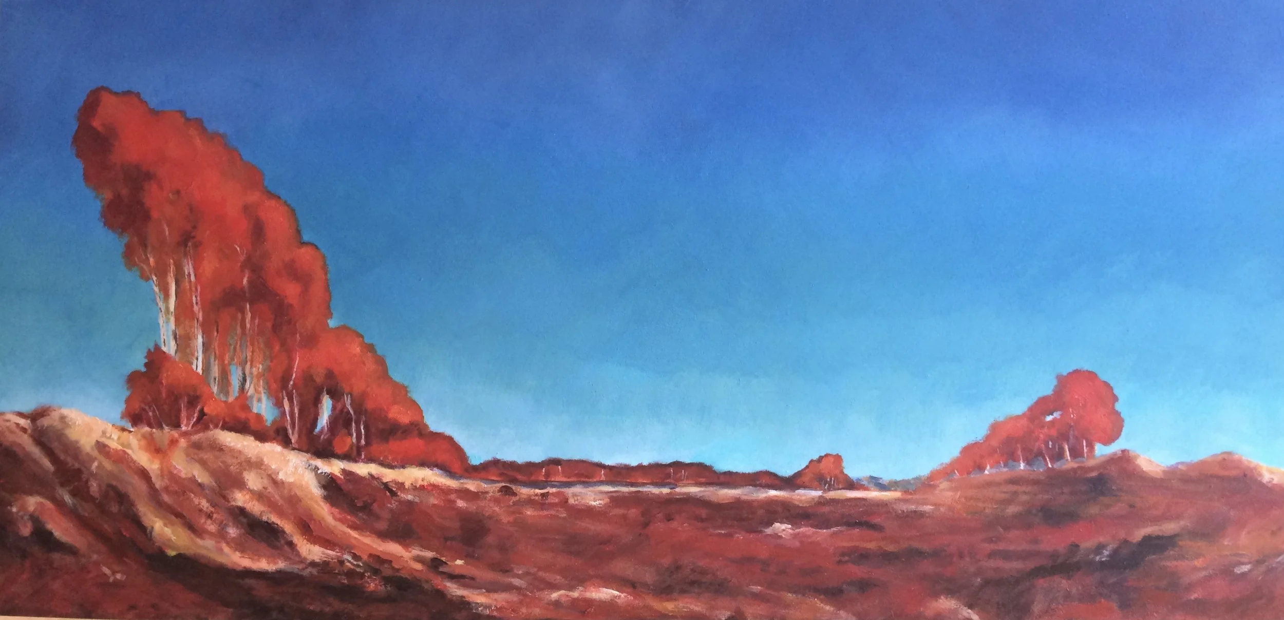 Ode aan Janus de Winter