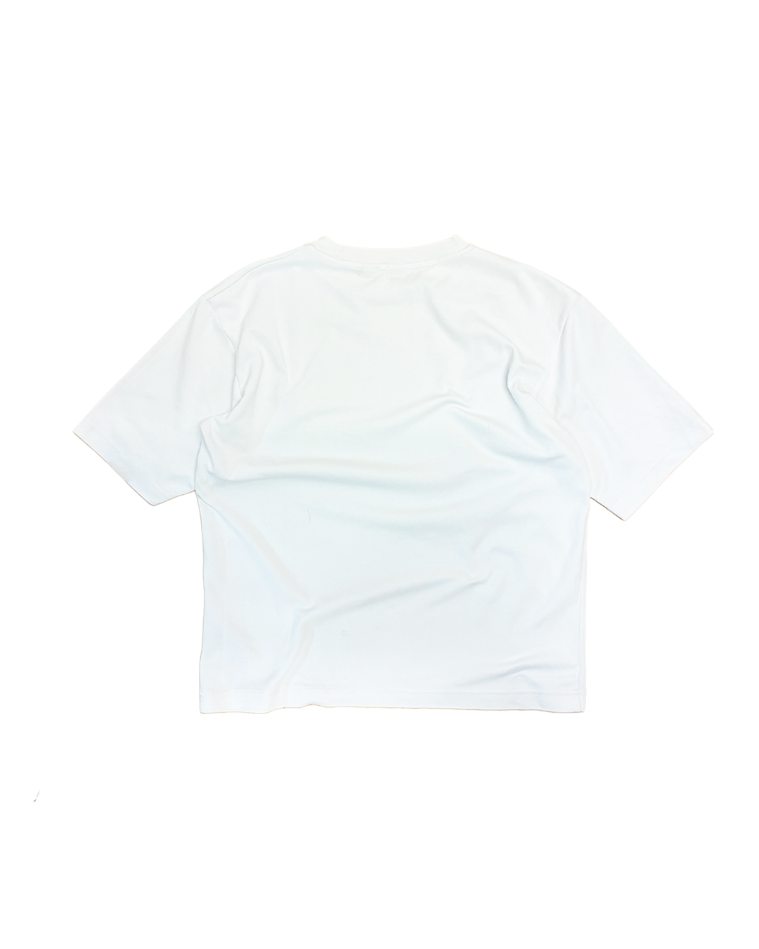 website 2.png