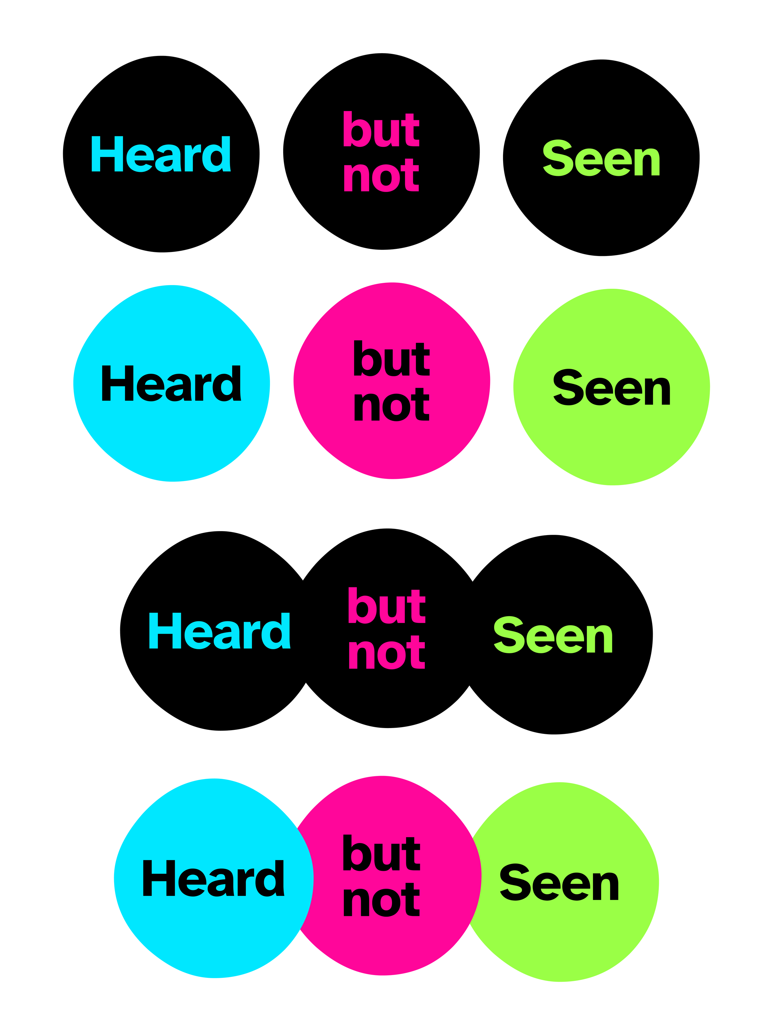 HEARD BUT NOT SEEN BRANDING-06.png