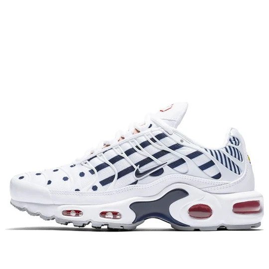 Nike Air Max Plus 'Unit Totale'