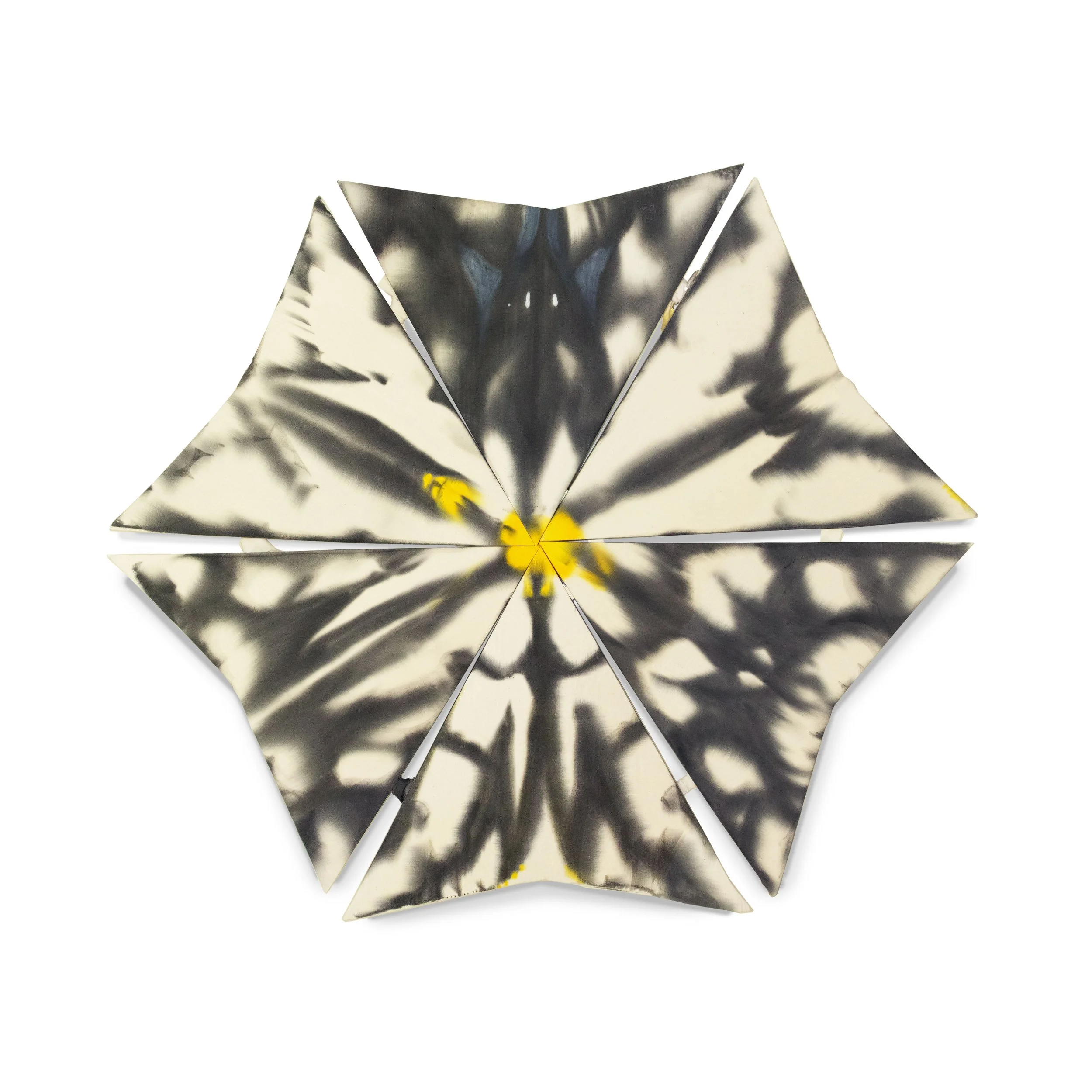 Ash Ferlito, Haploa Variation Flower, Acrylic on muslin, over panel, 32” x 36”, 2024