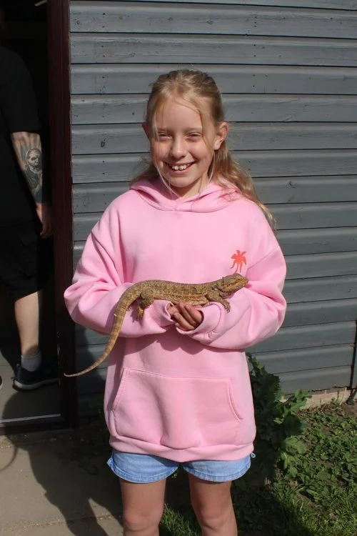 A reptile being introduced during an educational visit