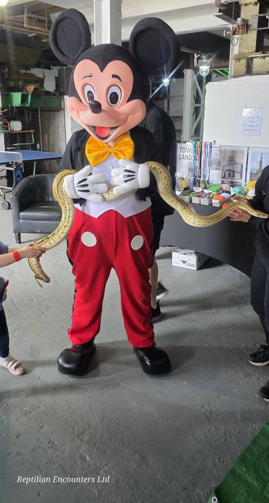 Mickeymouse.jpg