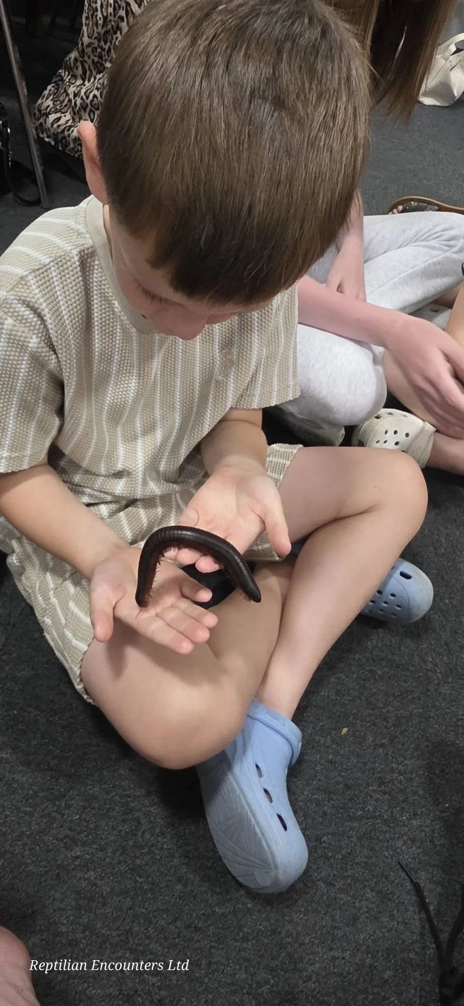 Millipede.jpg