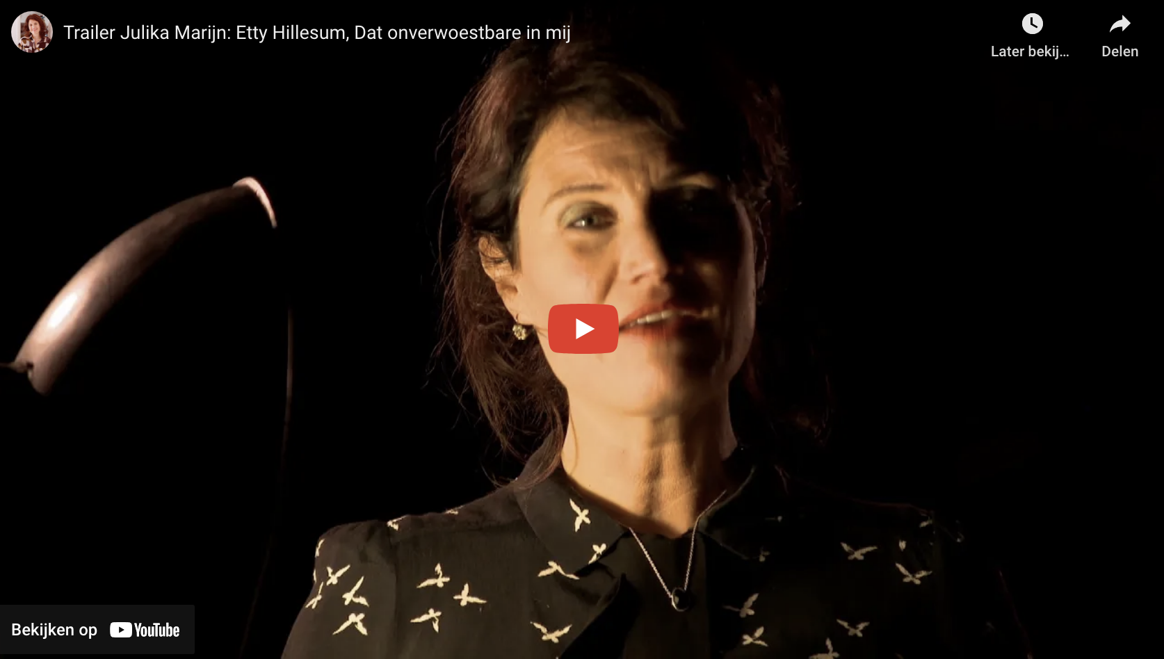 Dat onverwoestbare in mij_trailer.png