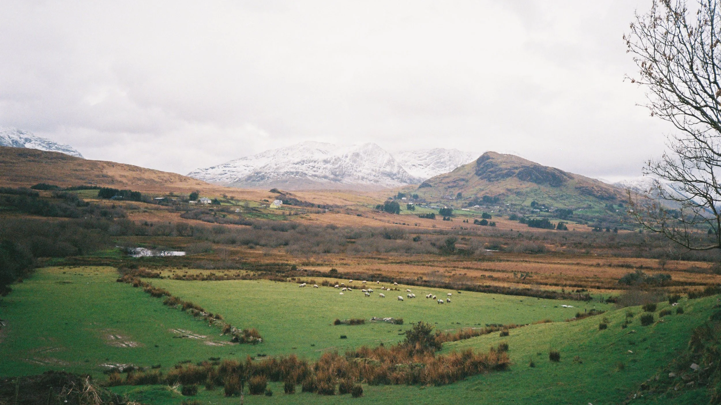 R1-06040-002A.png