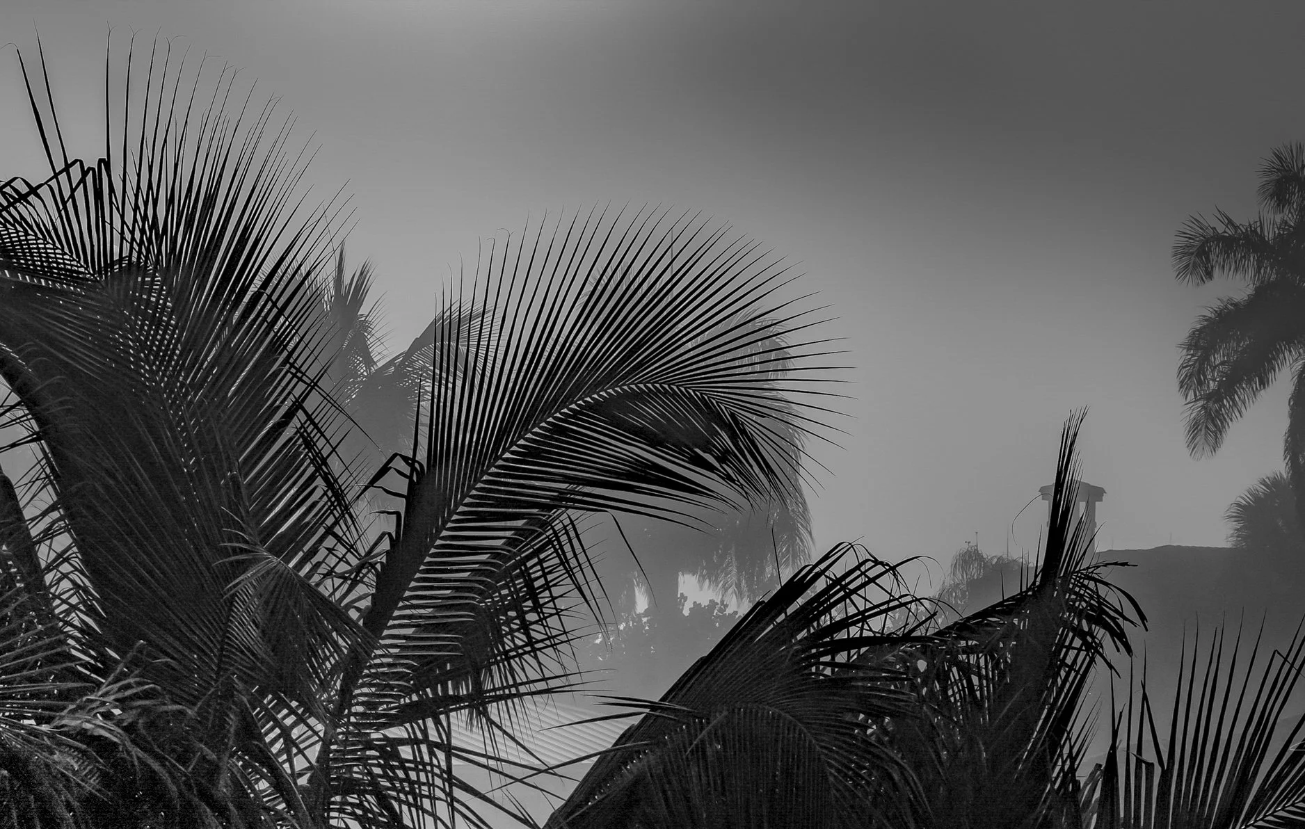 Veil of the Tropics.JPG