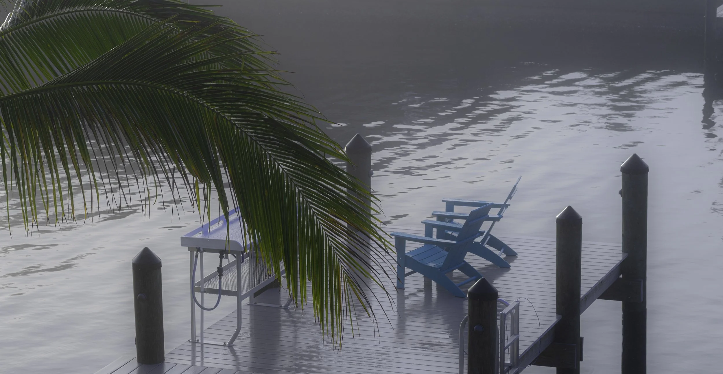 A dock with two blue Adirondack chairs, gray pilings, and a palm tree branch partially obscuring the view over calm water.
