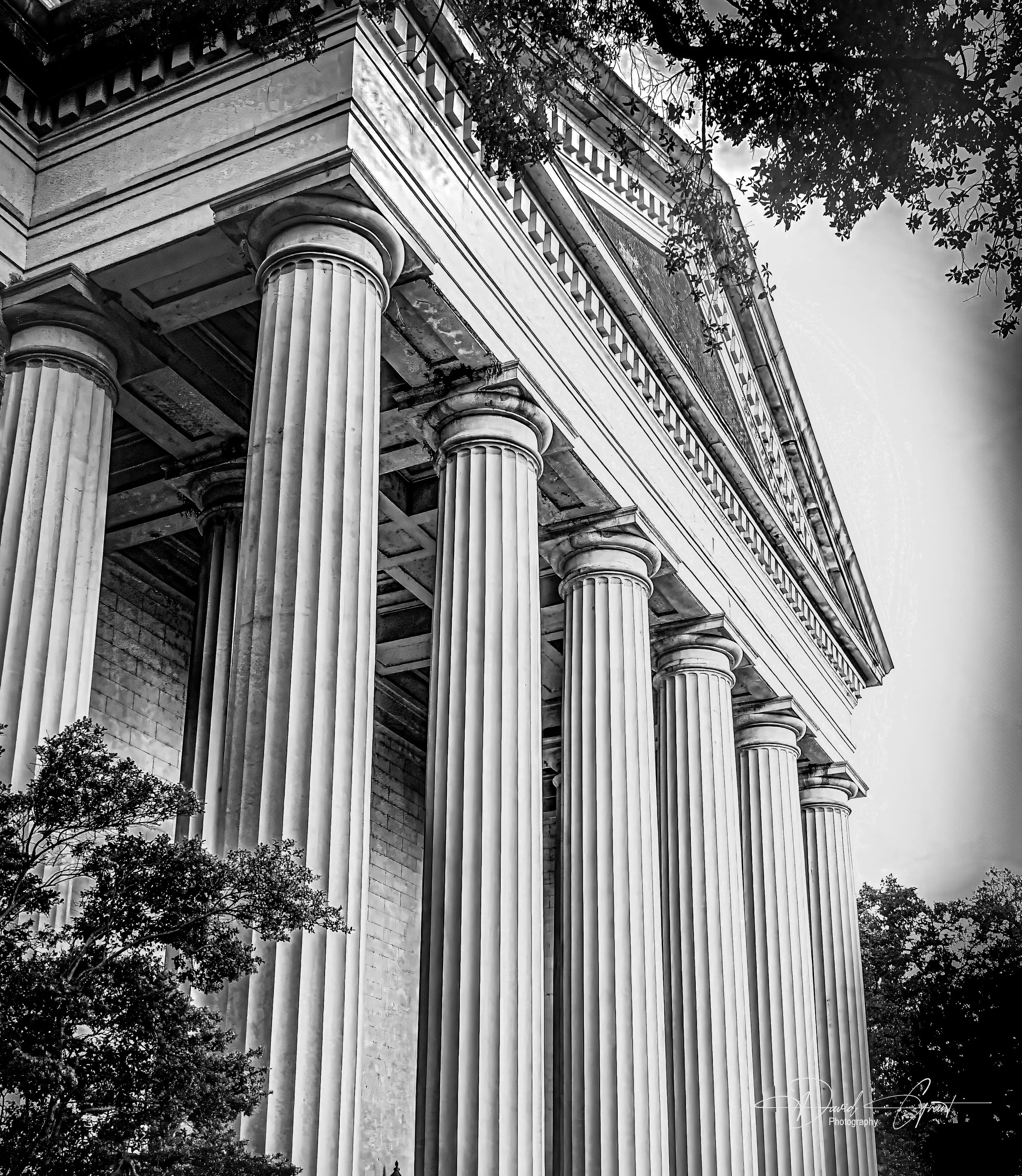 Black and white photo of a historical building with tall, classical columns supporting an elaborate entablature and ornate upper facade, partially framed by trees.