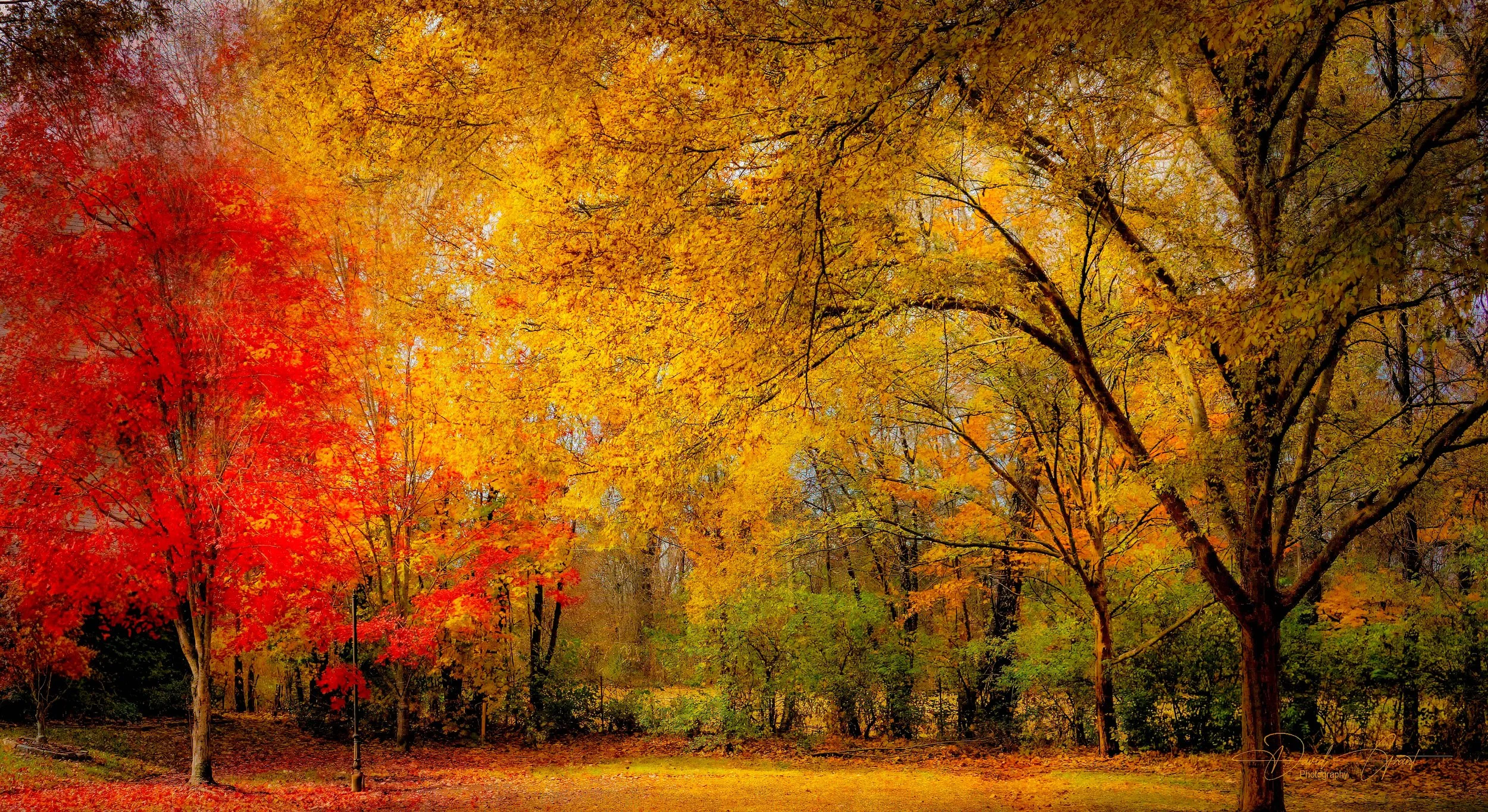 Autumn scene with colorful fall trees, including red, yellow, and orange leaves, in a park with a grassy area and a lamp post.