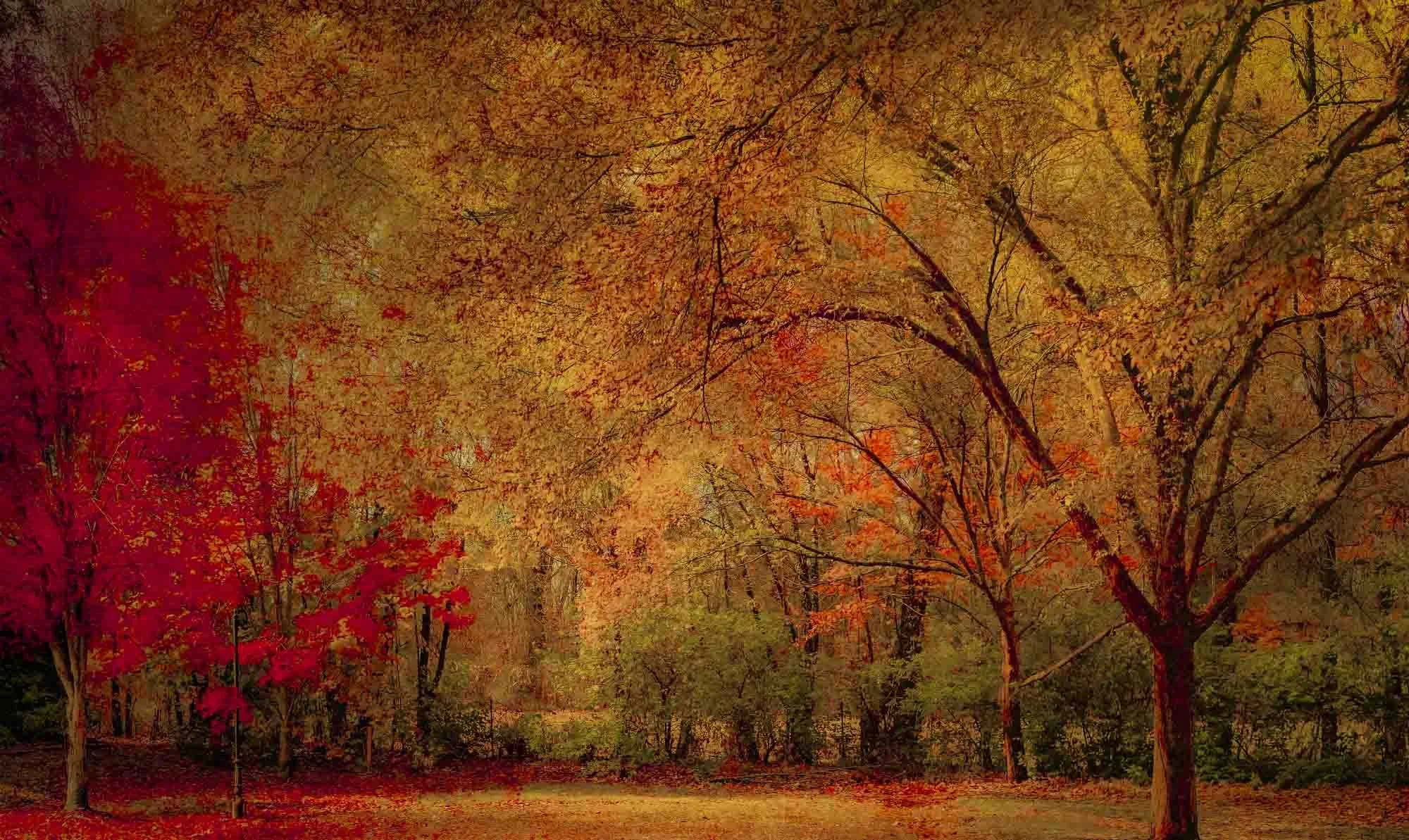 Franklin Fall fine art final enhanced 2 small.JPG