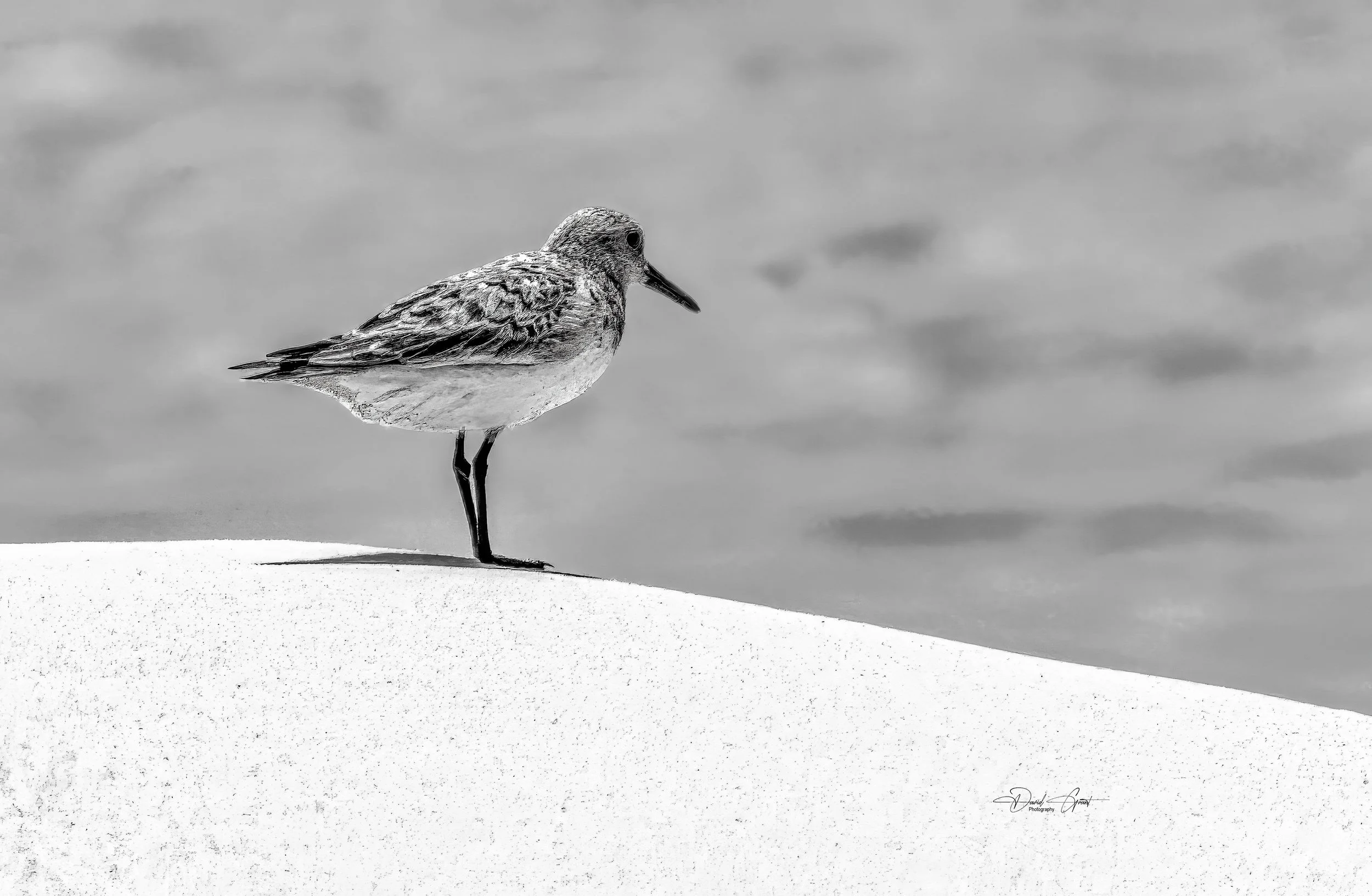 solitude signed enhanced BnW-1 Nations.JPG