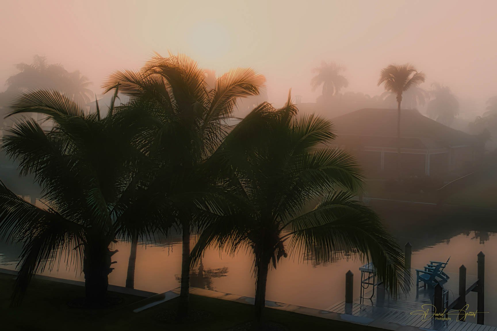 A foggy scene of palm trees beside a calm body of water with a dock and empty chairs, illuminated by soft, warm light.
