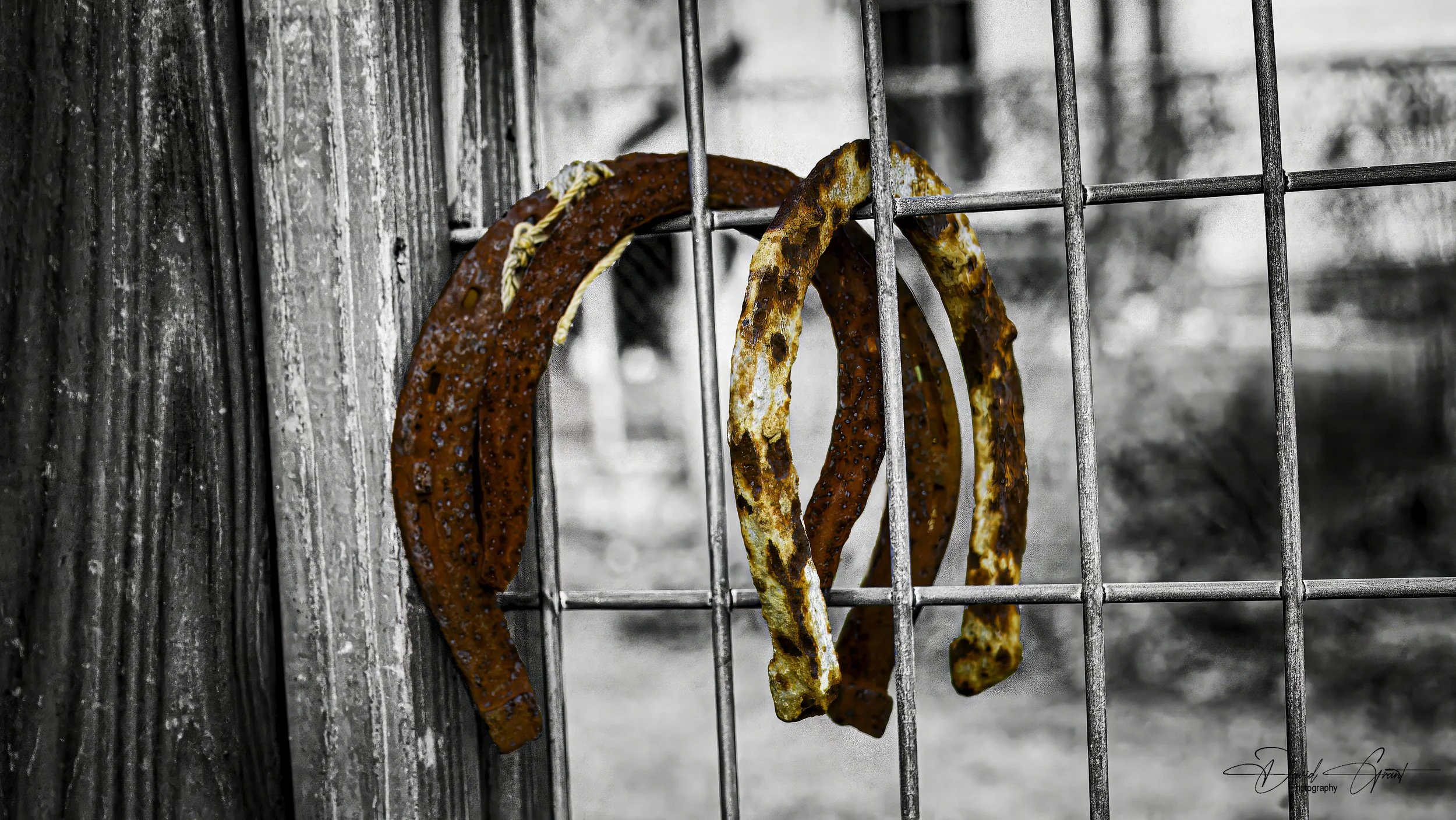 Two rusty, curved metal strips hanging on a weathered wooden post and metal fence.