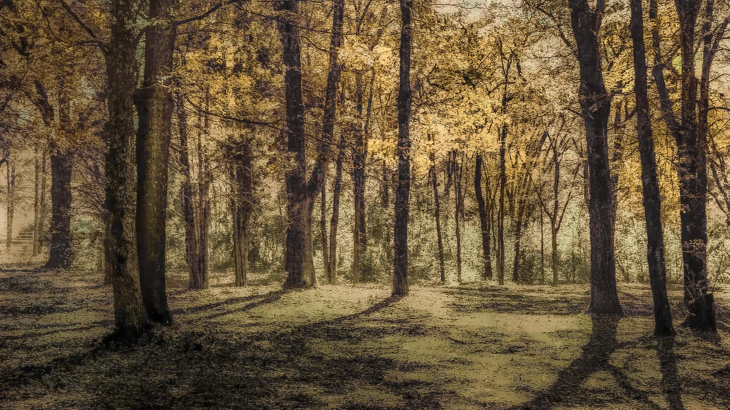 Enchanted Light