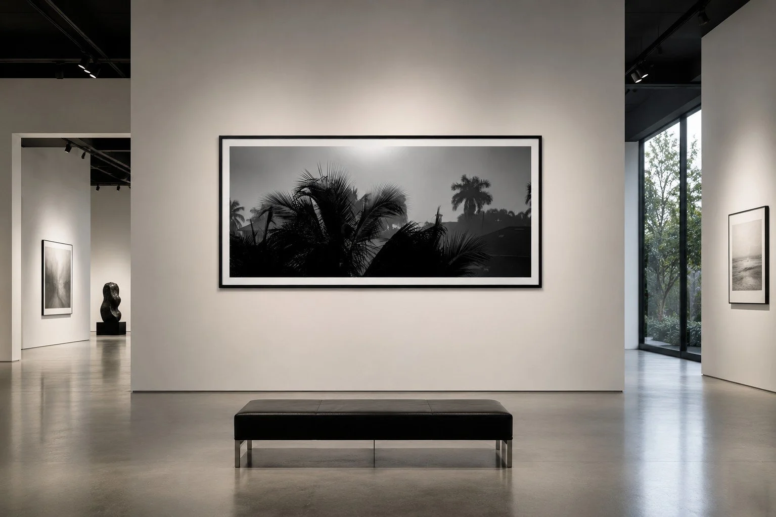 Veil of Tropics