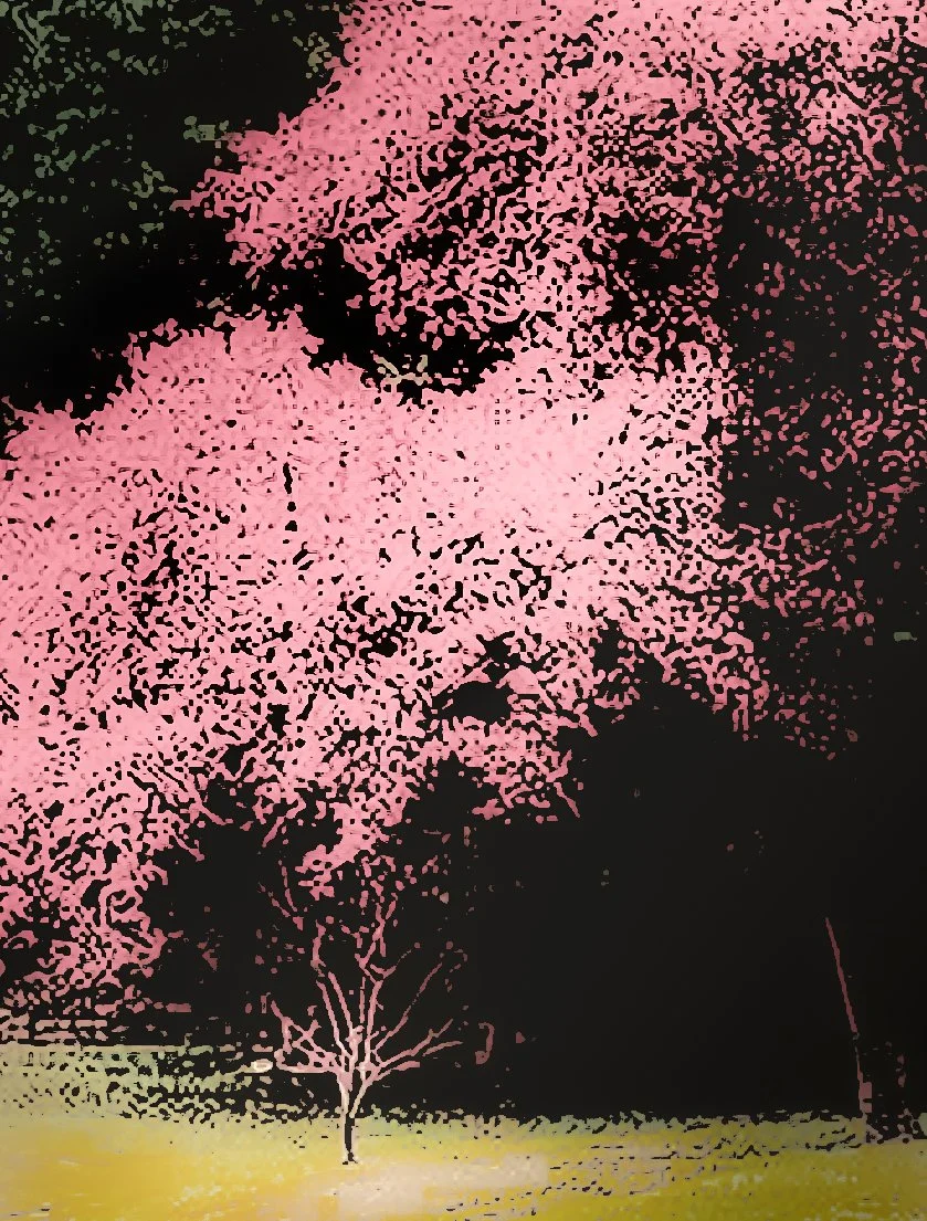 The Bloom of Silence