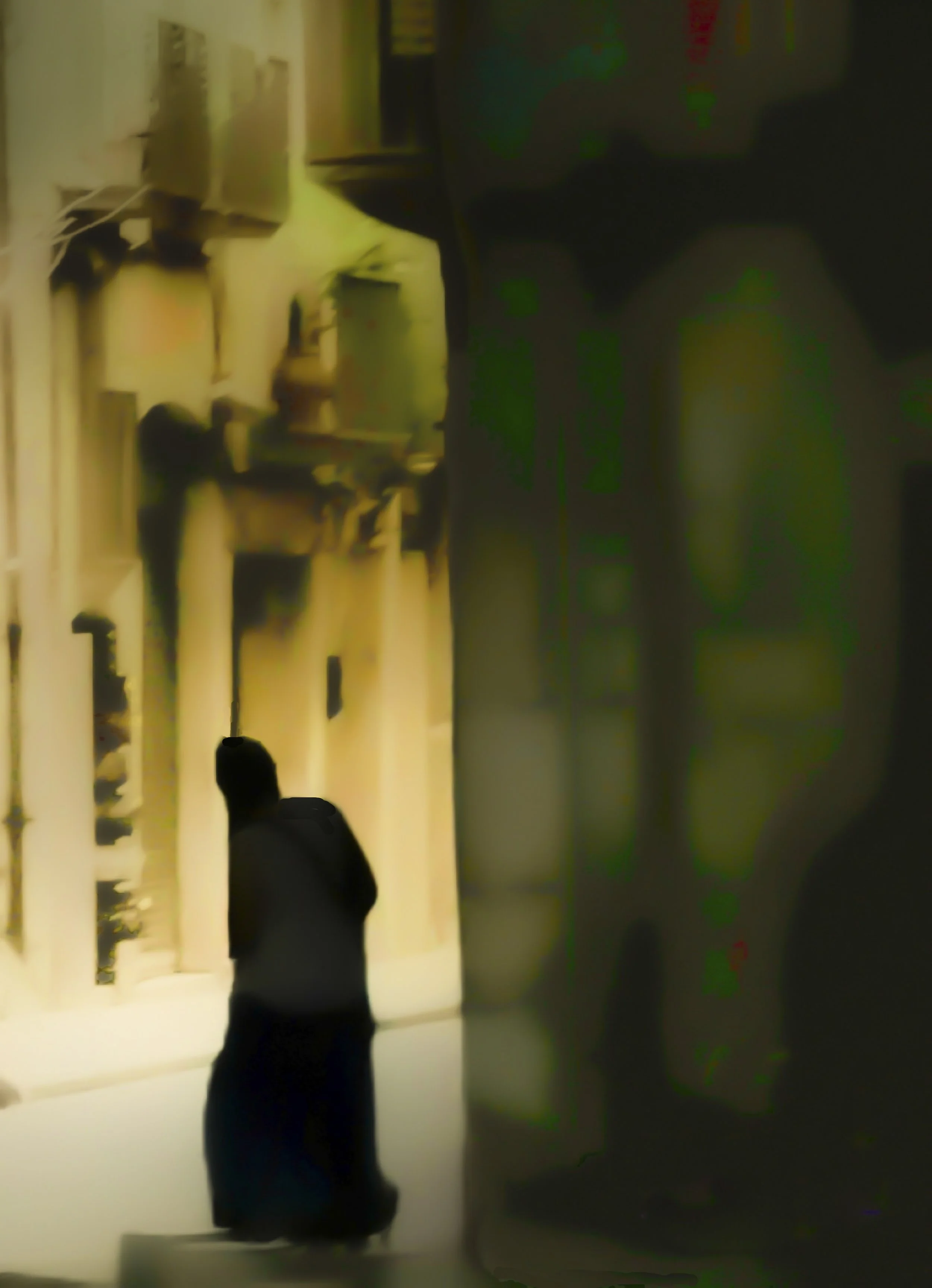 Where the Light Remembers
