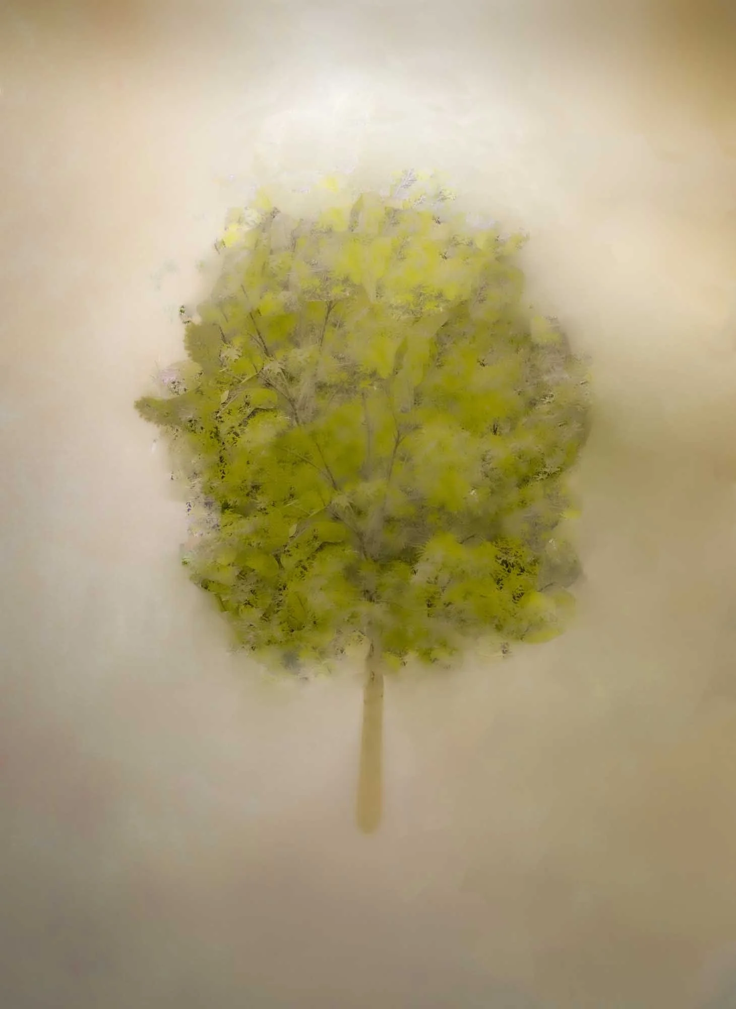 The Shape of Stillness