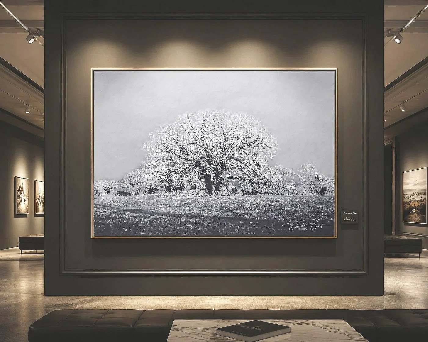 The+Silent+Oak+gallery.jpg