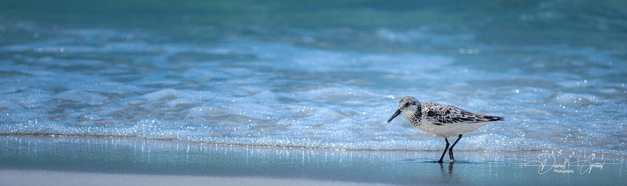 Edge of the Tide
