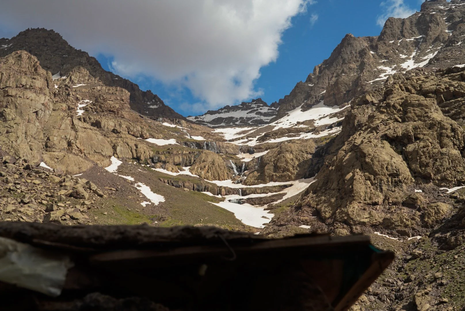 _DSC1336.jpg