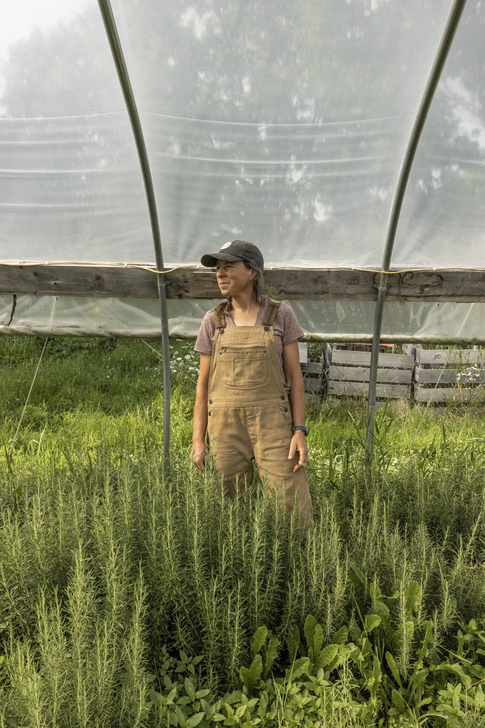 Dandelion Spring Farm