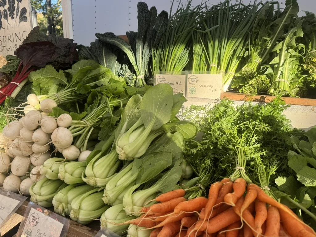 Summer CSA & Gift Certificates